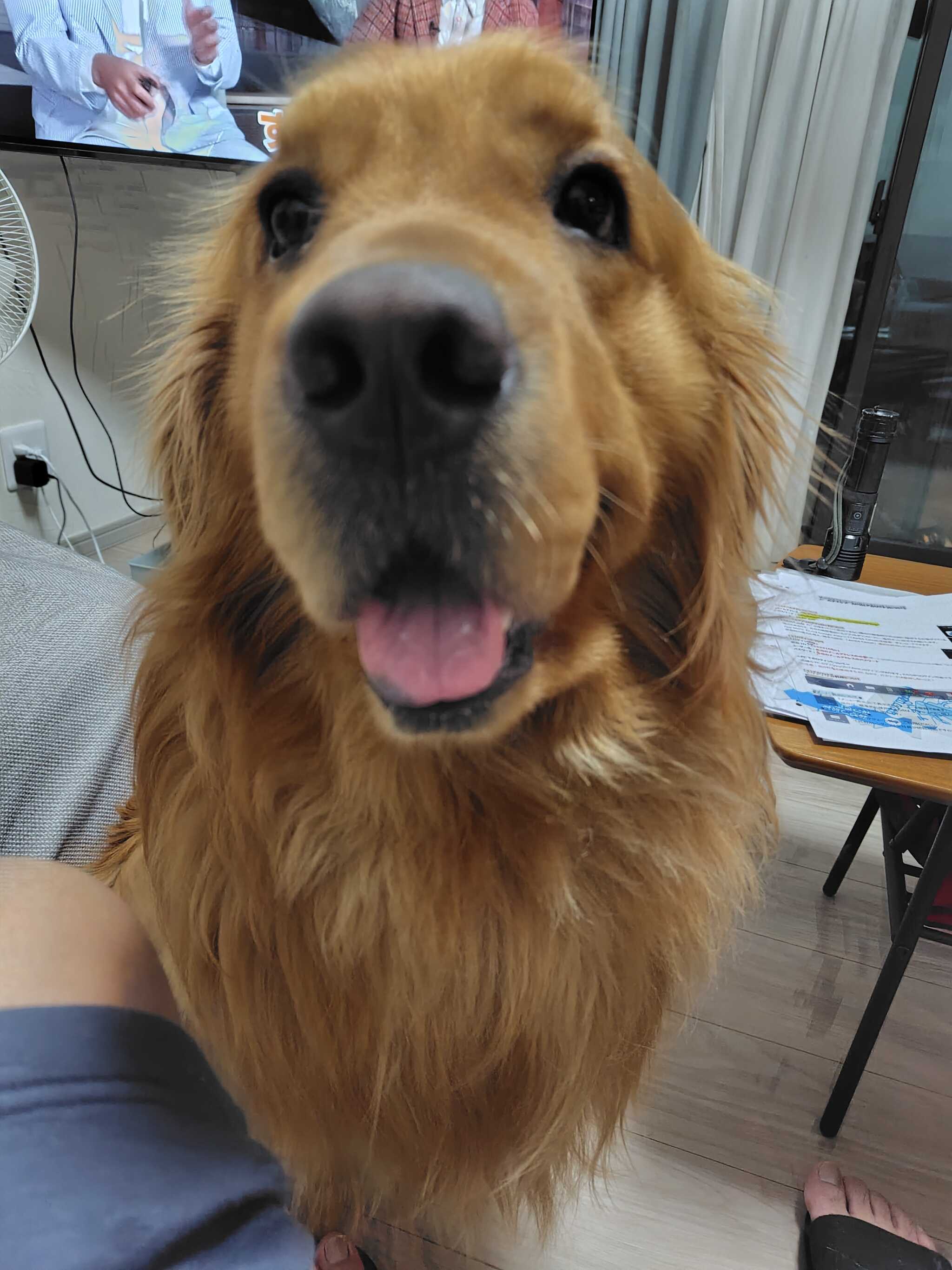 プロフィール画像