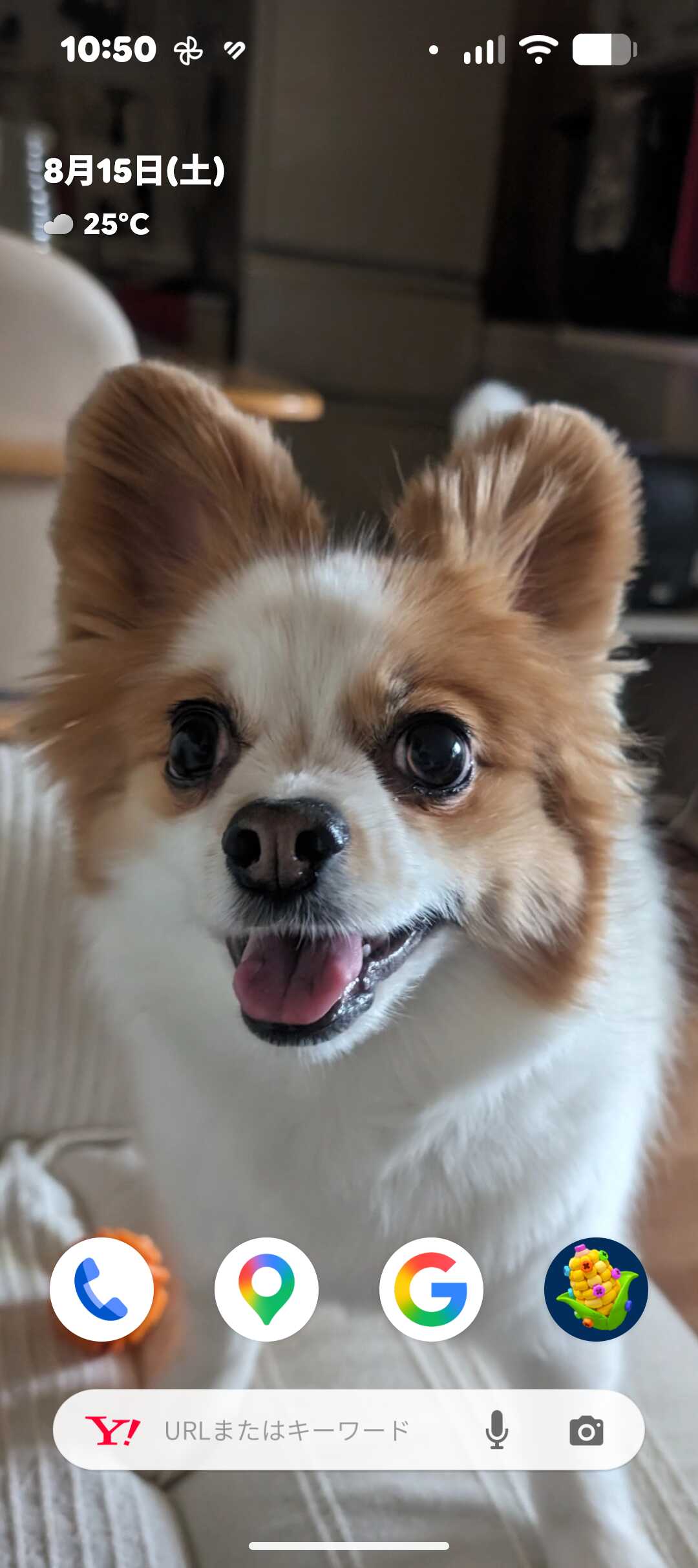 プロフィール画像