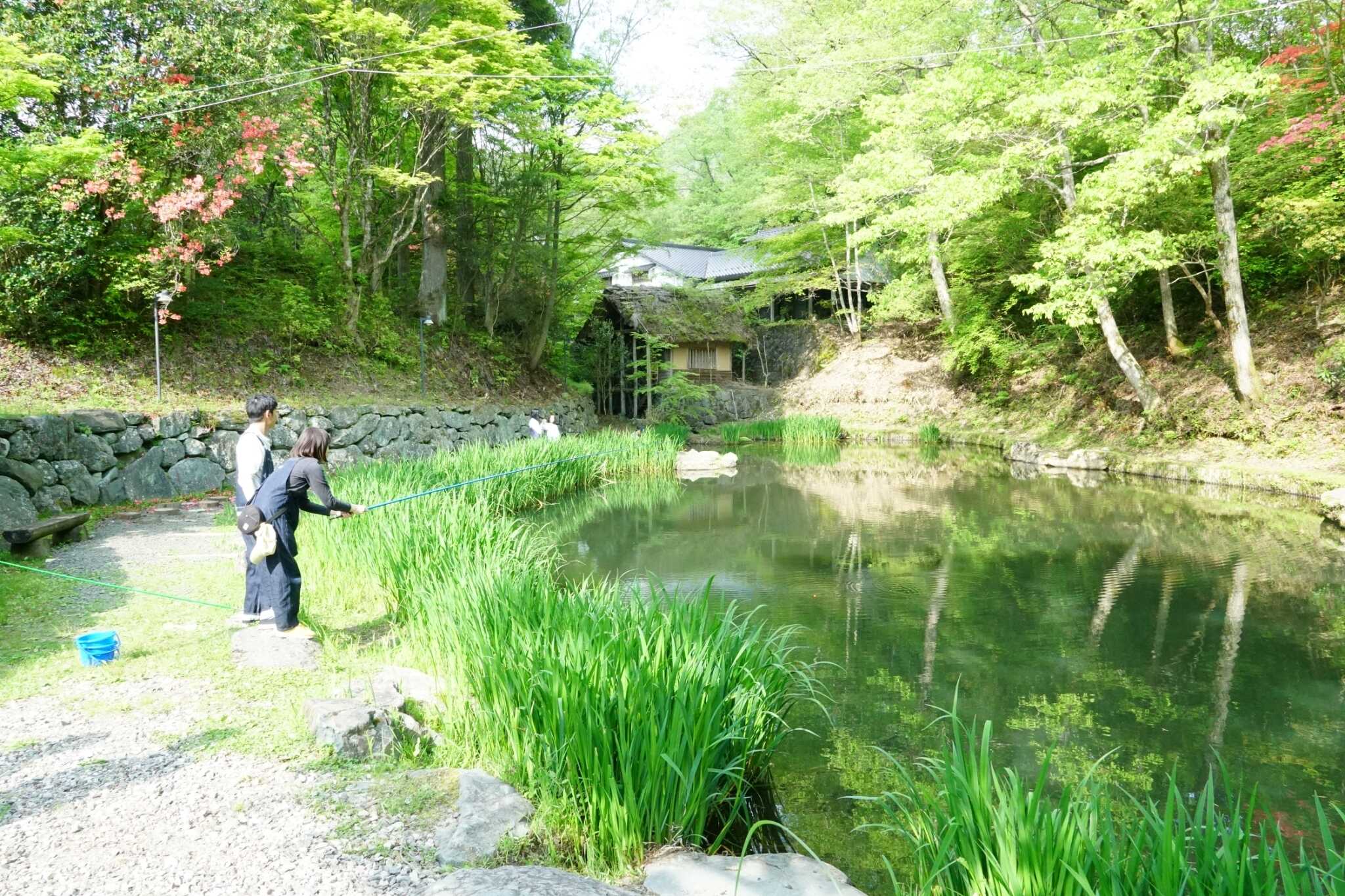 久万高原ふるさと旅行村キャンプ場の写真 5枚目