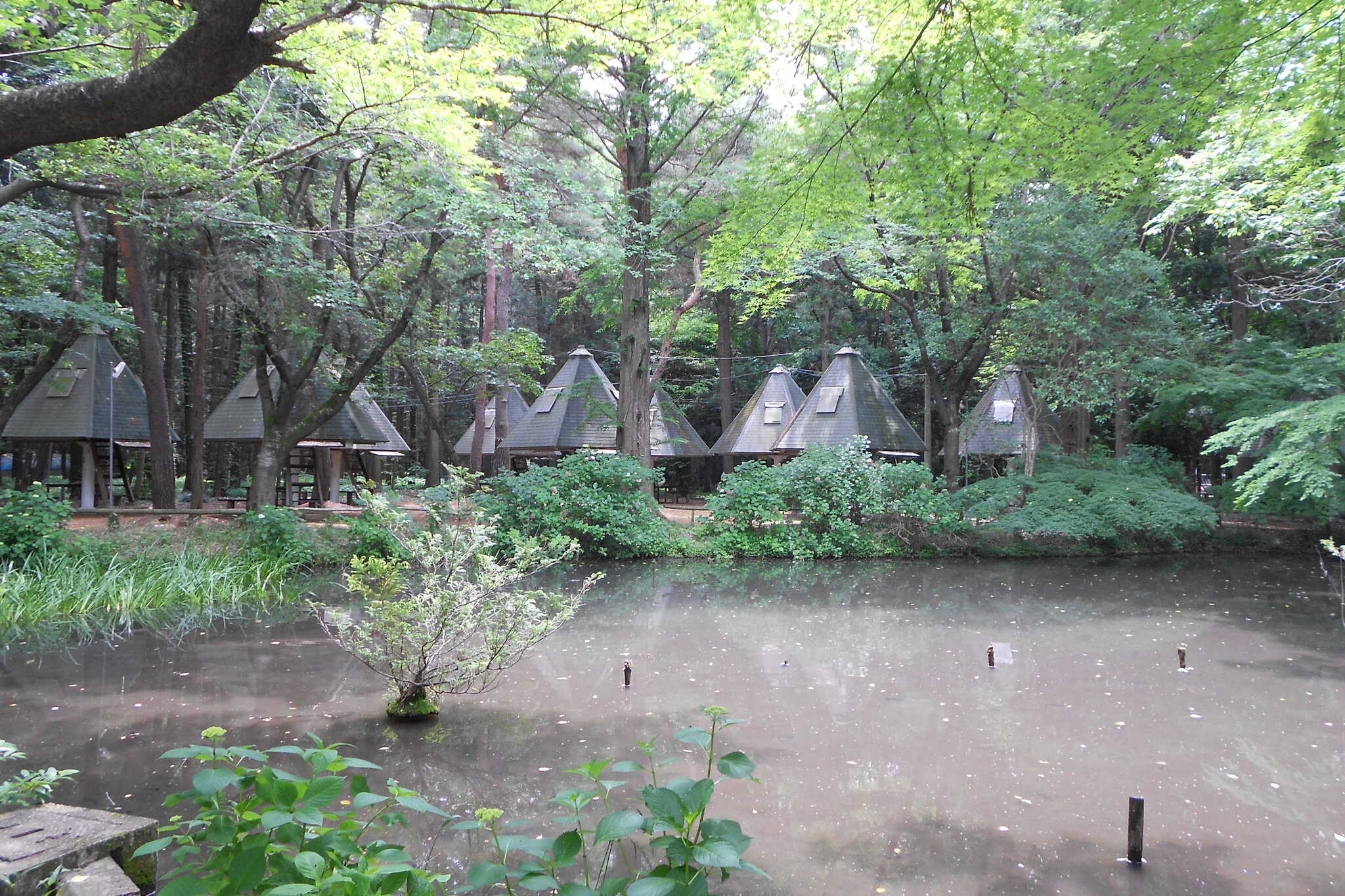 豊里ゆかりの森キャンプ場