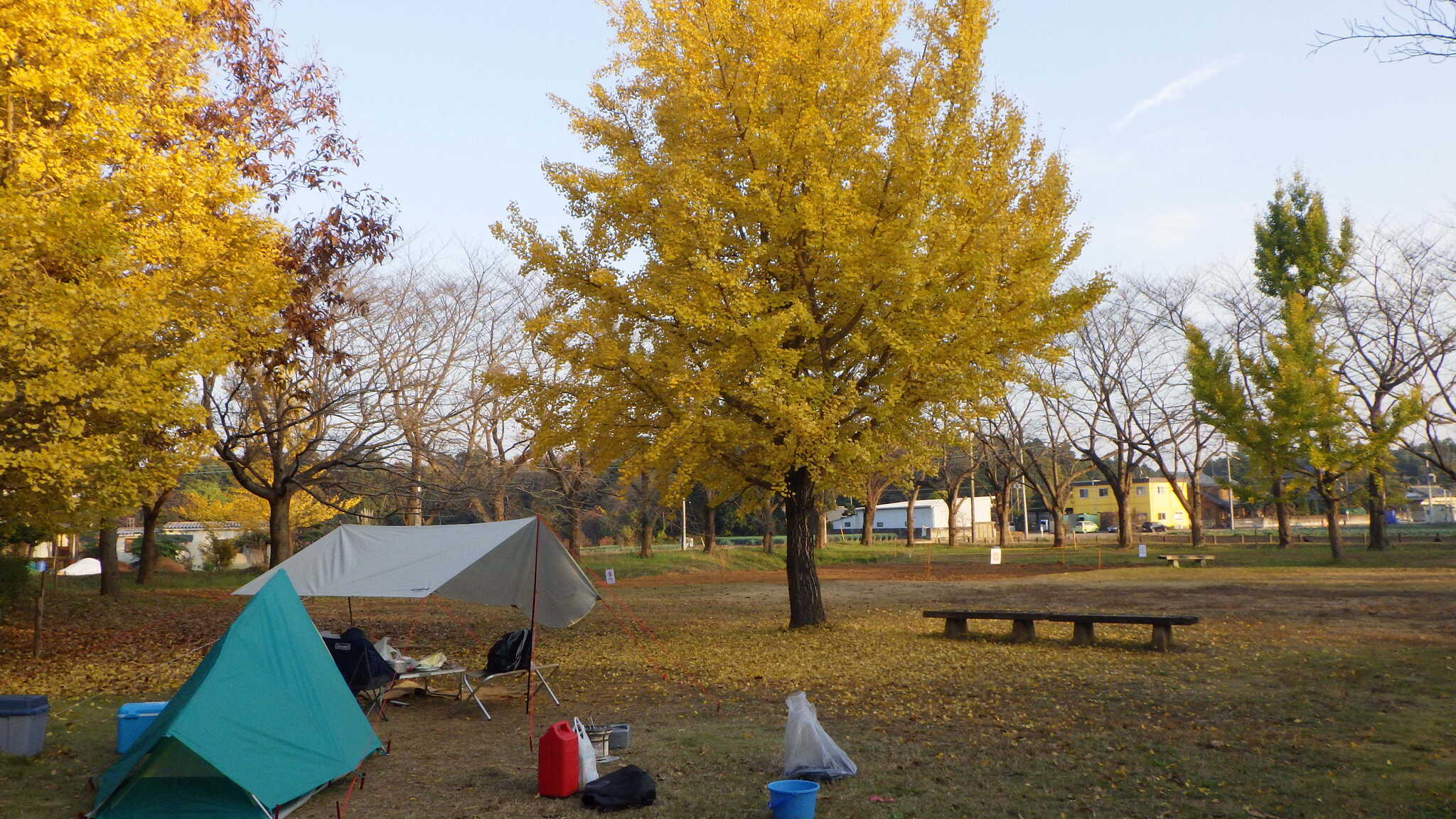 茎崎こもれび六斗の森