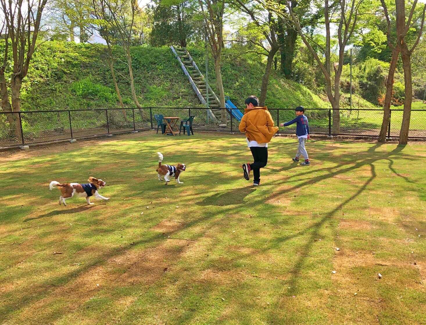 【芝生のドッグパーク】ワンちゃん連れ大歓迎!