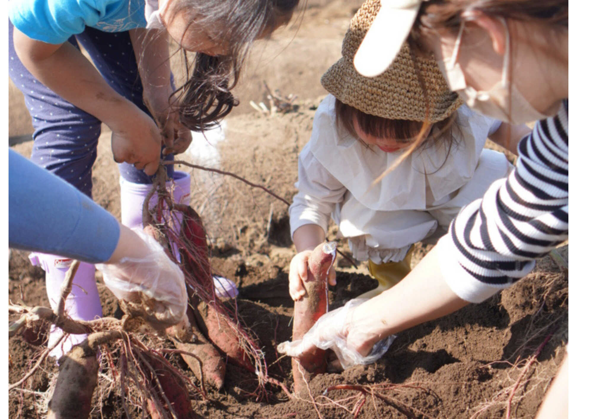 RECAMP常総(水海道あすなろの里内)の写真 5枚目