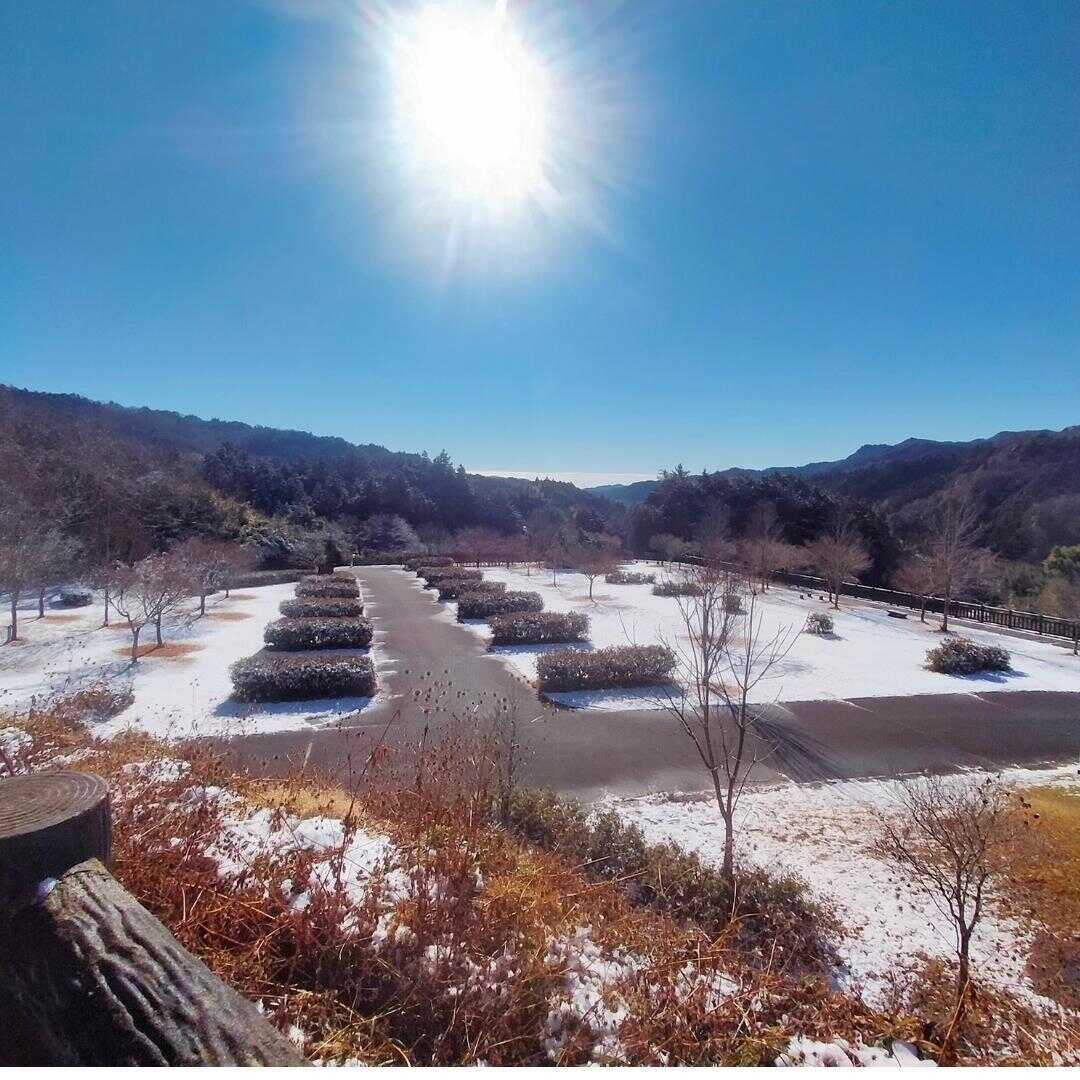 水府竜の里公園の写真 4枚目