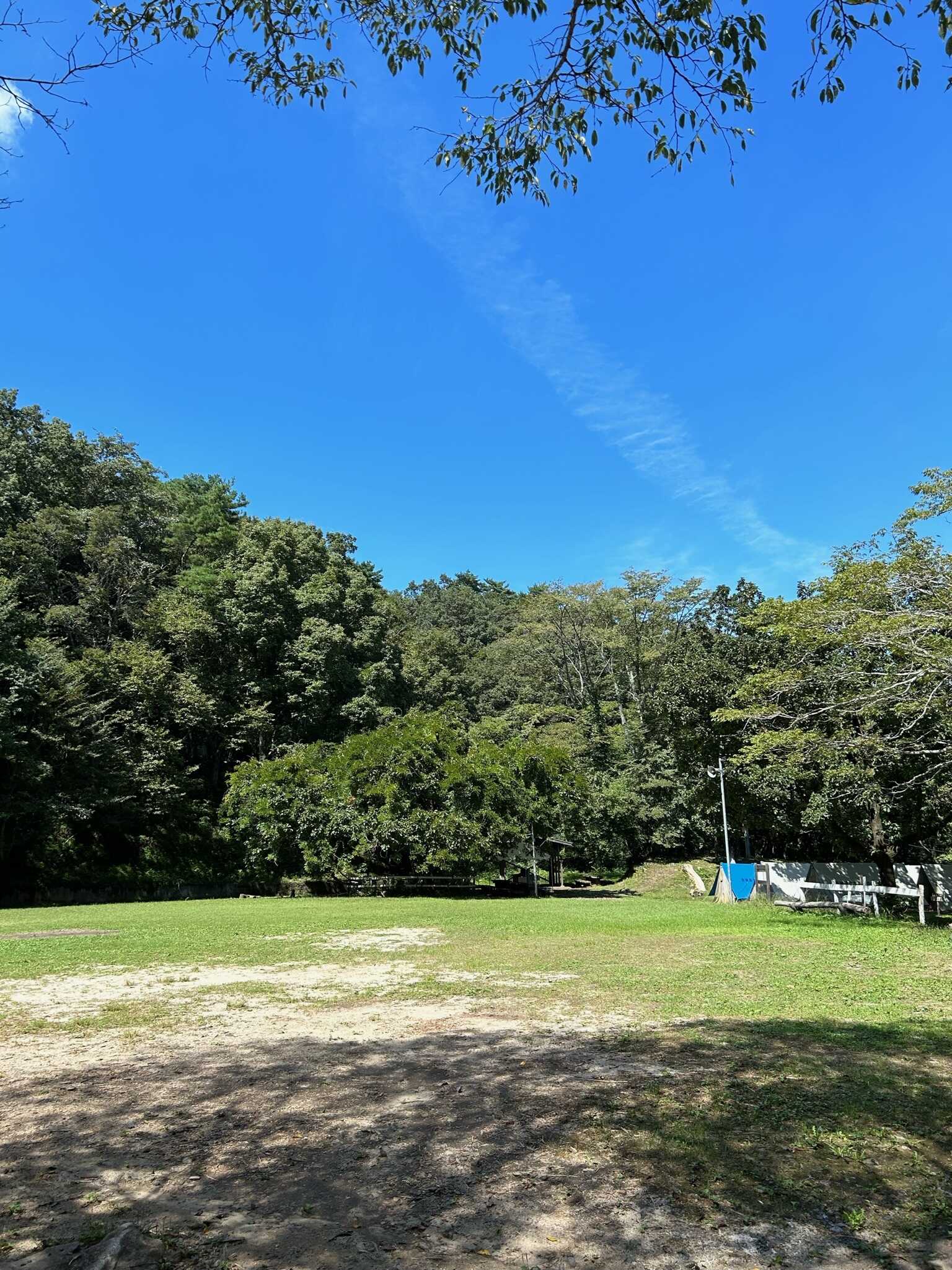 Forest of THENの写真 2枚目