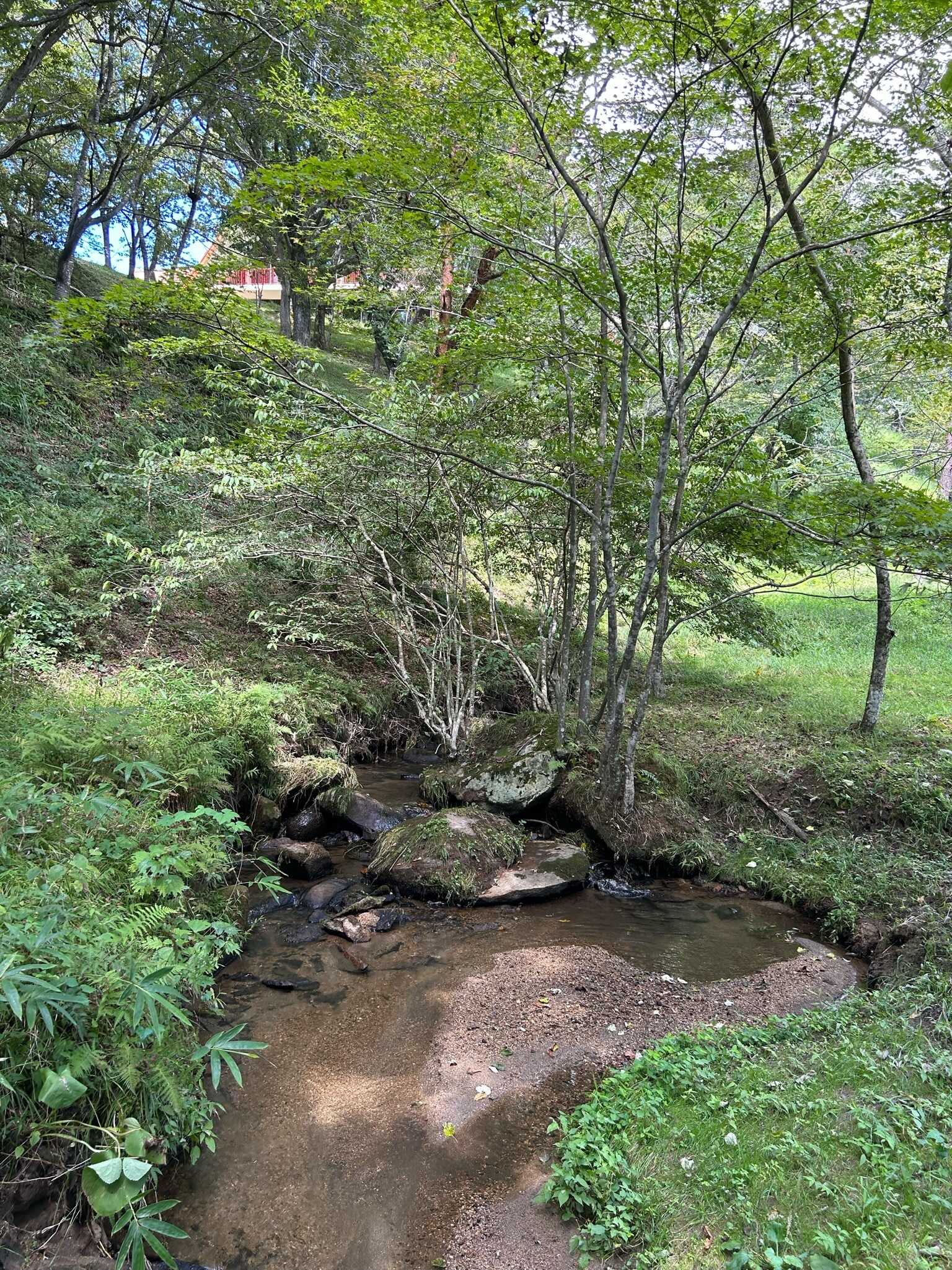 手付かずの自然が残るフィールドは貴重な動植物の宝庫です。子供達に(発見する喜び)や(身体を動かすことの気持ち良さ)を経験させる絶好の機会となります。