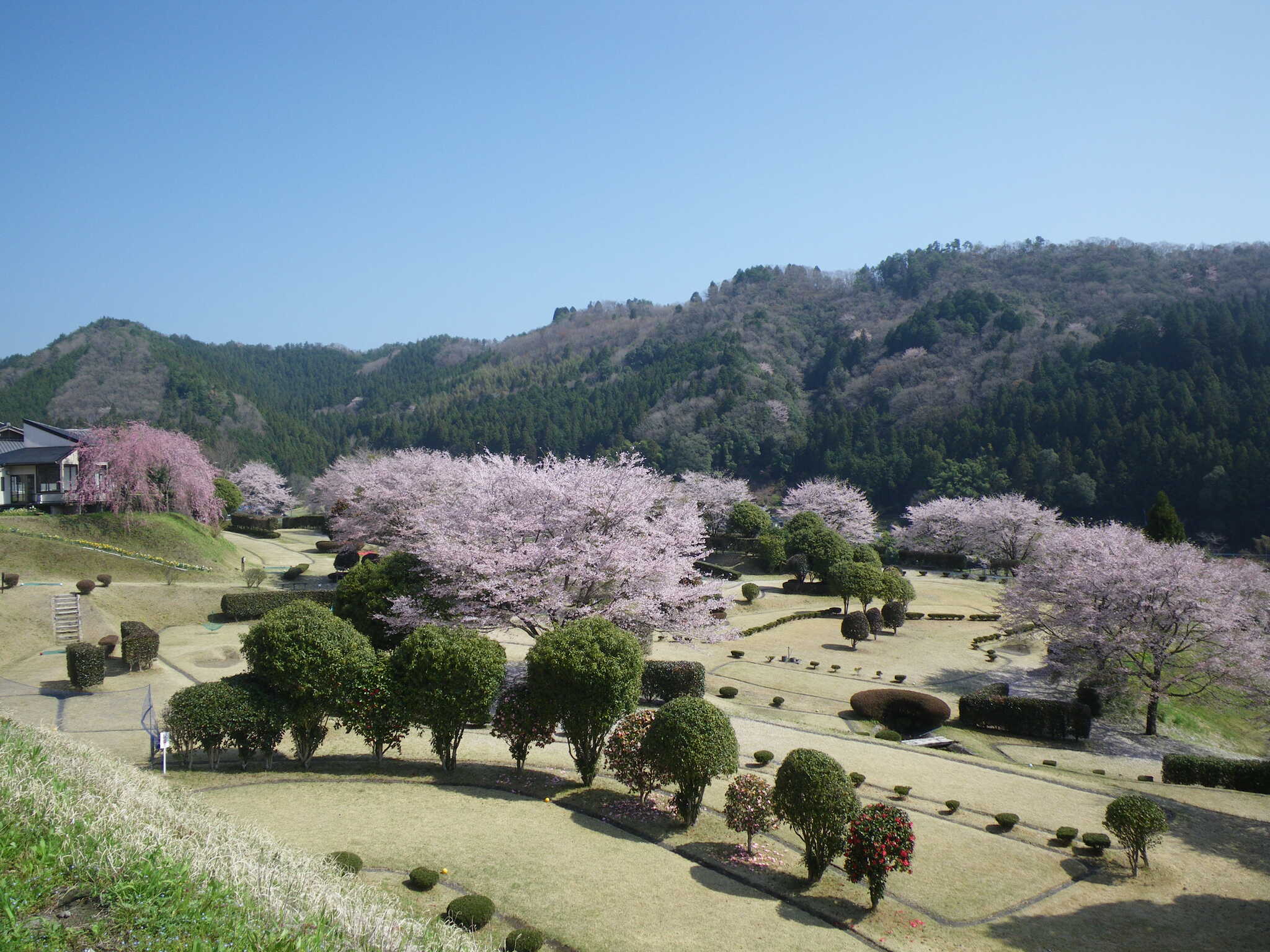 常陸大宮市やすらぎの里公園の写真 3枚目