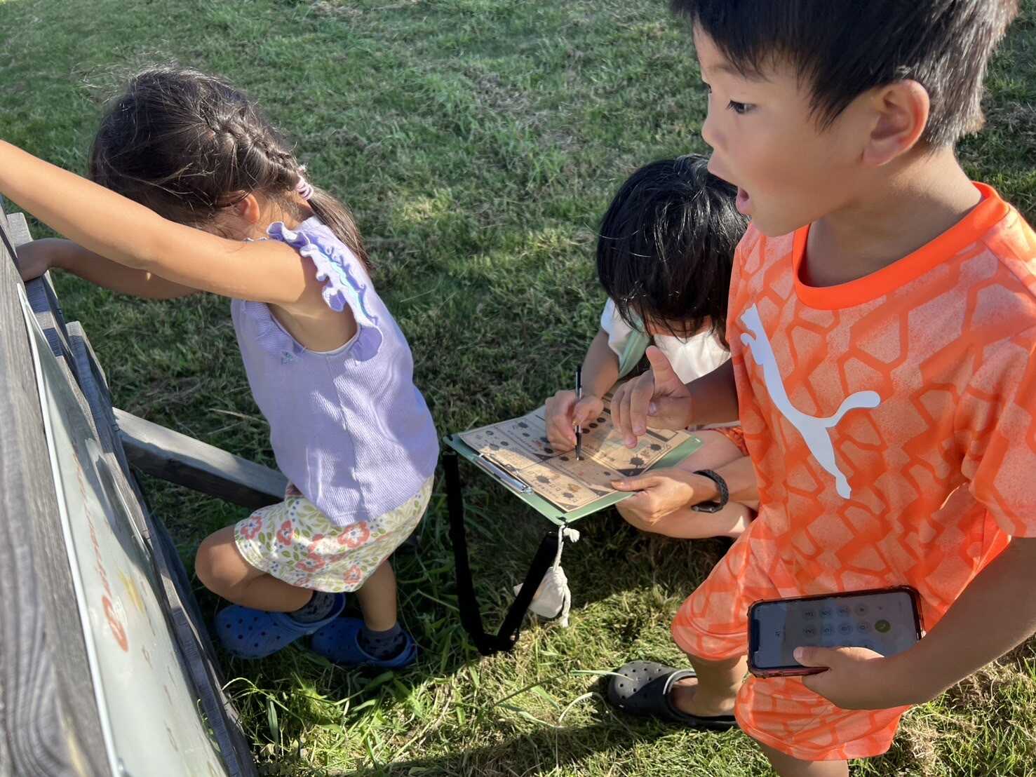日川浜オートキャンプ場の写真 5枚目