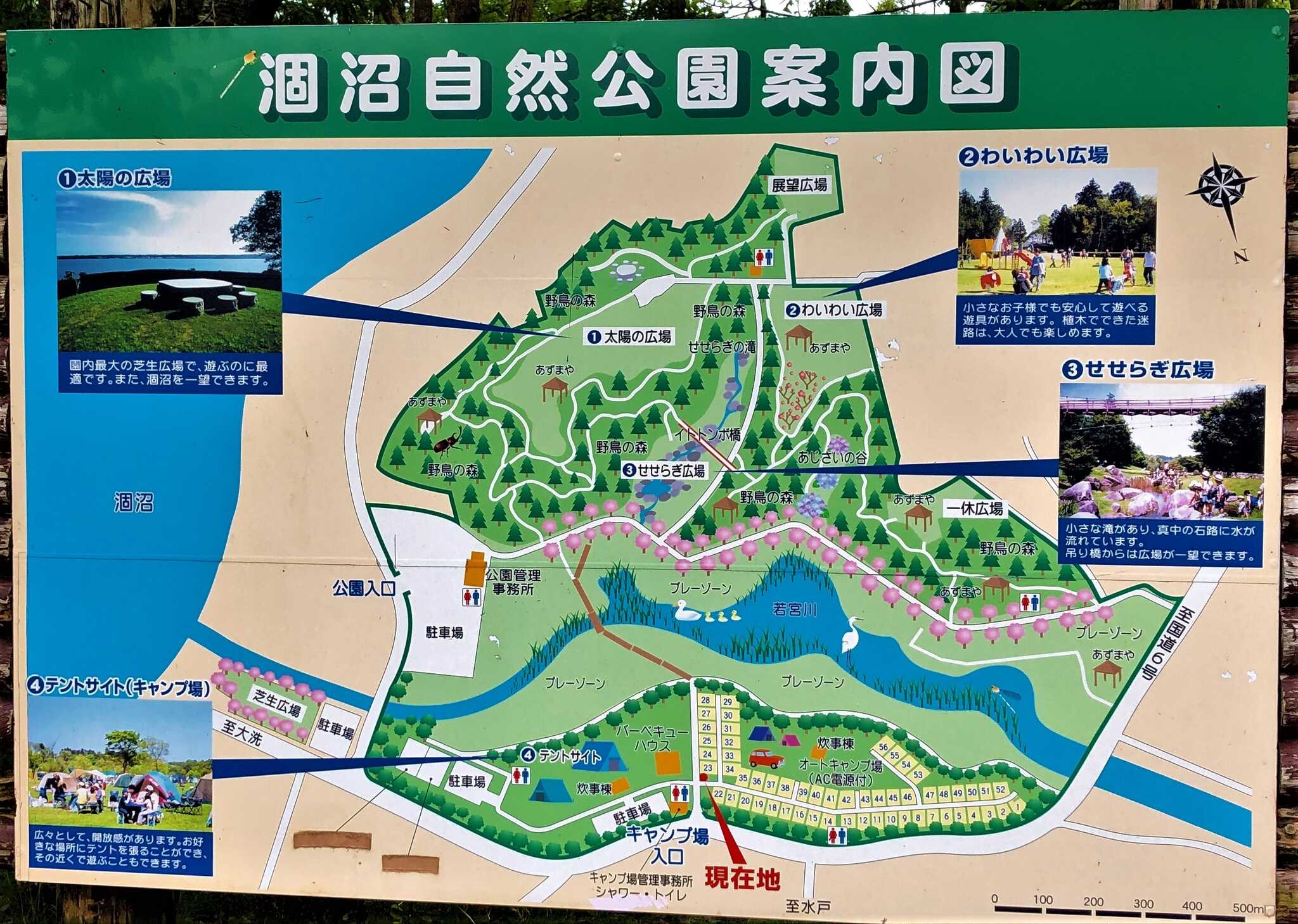 場内マップ