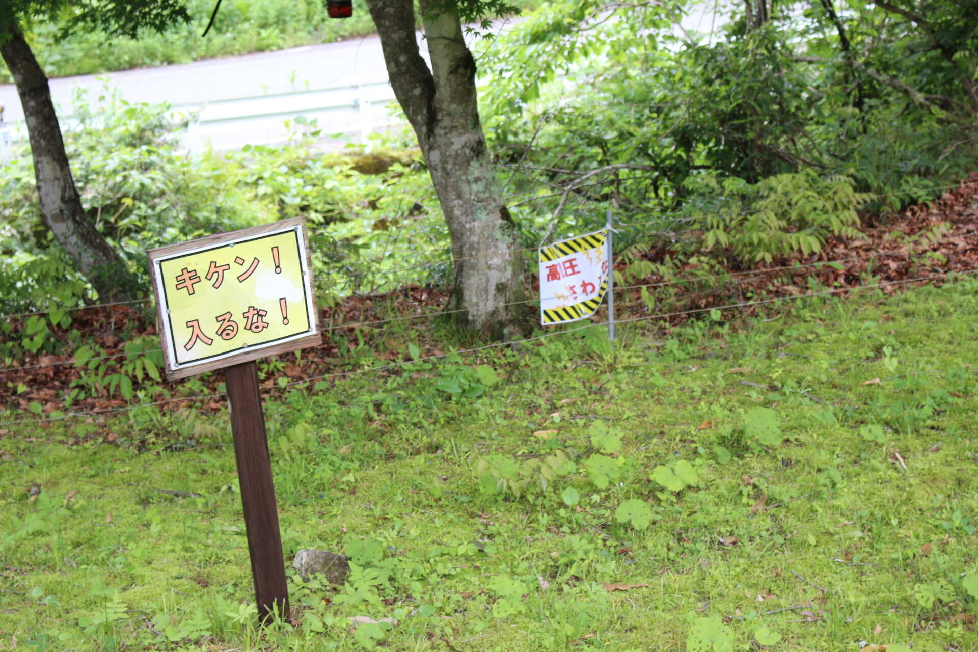 害獣対策用の電気柵をキャンプ場周囲に張っています。
