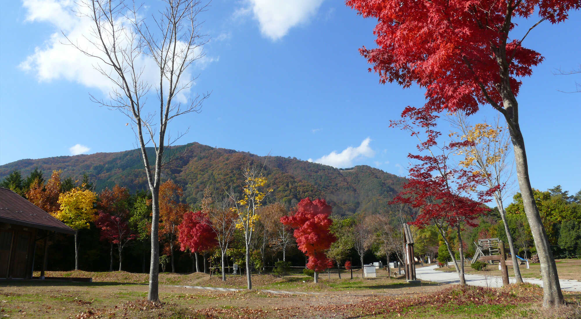 大佐山オートキャンプ場の写真 4枚目