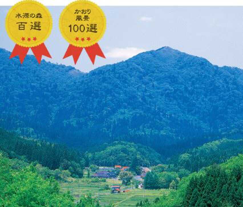 田浪キャンプ場