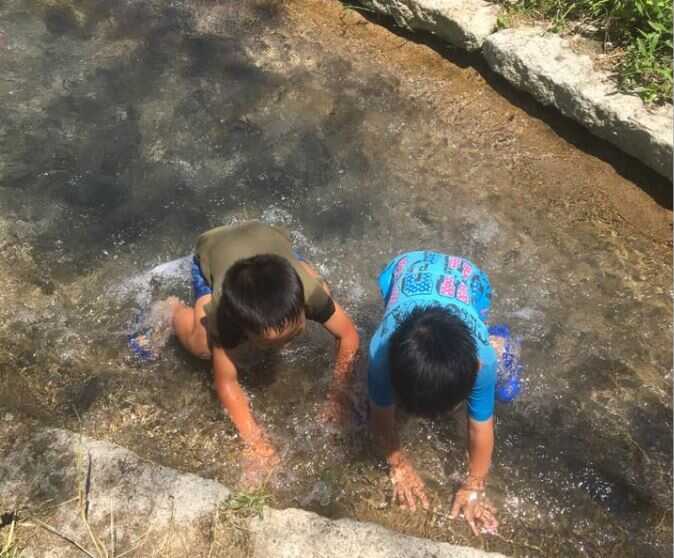 高仙の里よの「なつつばき」の写真 4枚目