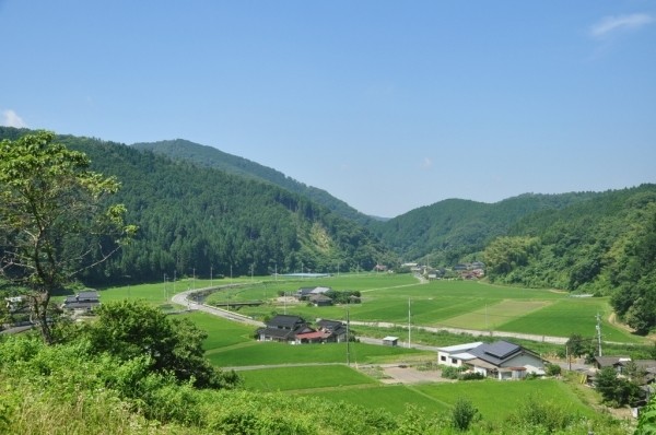 高仙の里よの「なつつばき」 photo 4