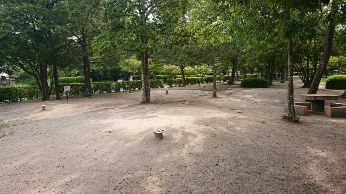 砂川公園の写真 4枚目