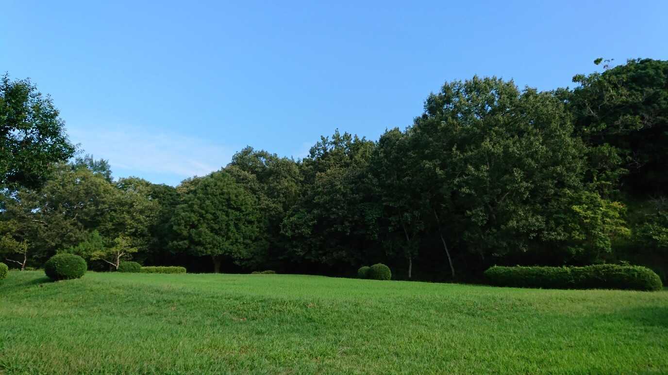 広々とした広場で、キャッチボールや鬼ごっこを楽しもう!(ゆずりあって利用してください)