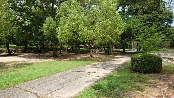 砂川公園の写真 3枚目