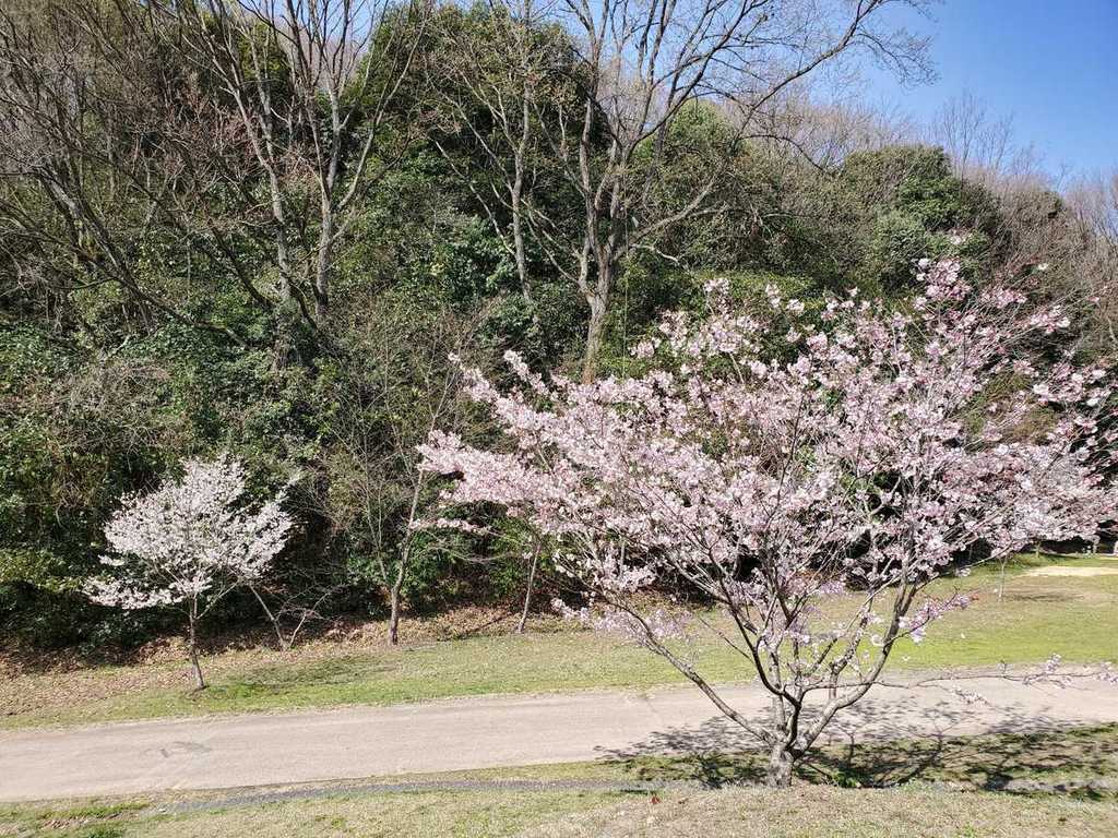 フォレスタ！早島町ふれあいの森公園 photo 5