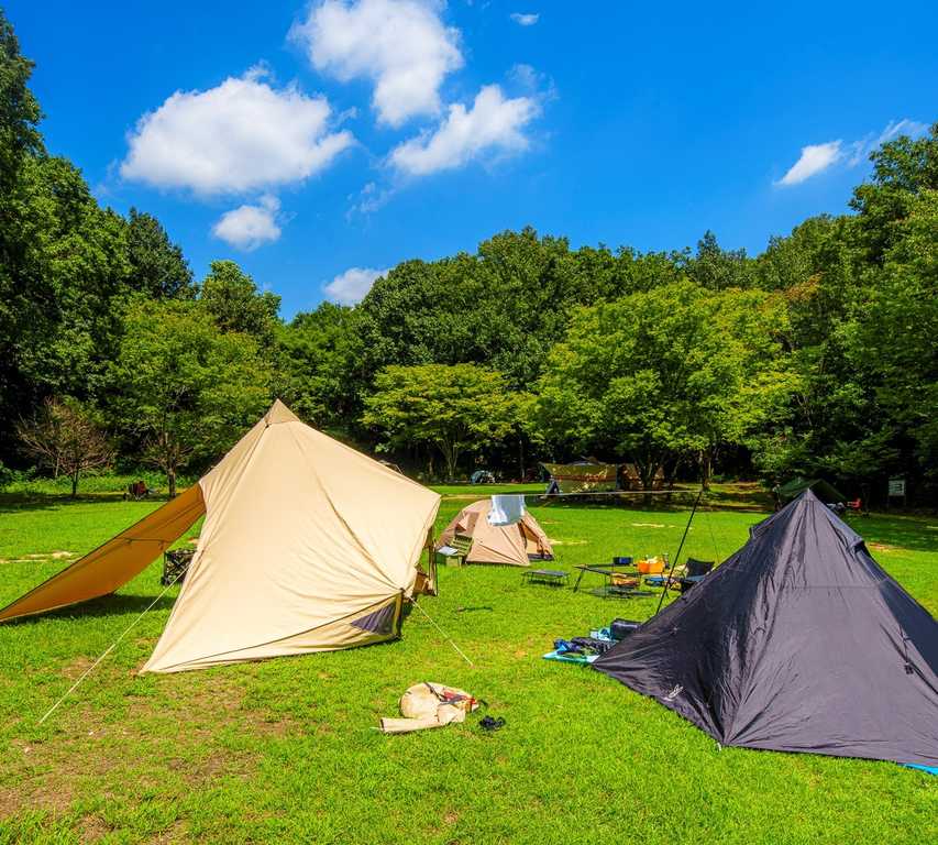 フォレスタ！早島町ふれあいの森公園 photo 2