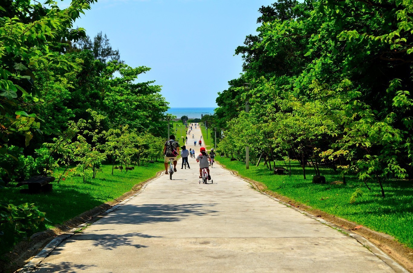 沖縄県総合運動公園オートキャンプ場 photo 3
