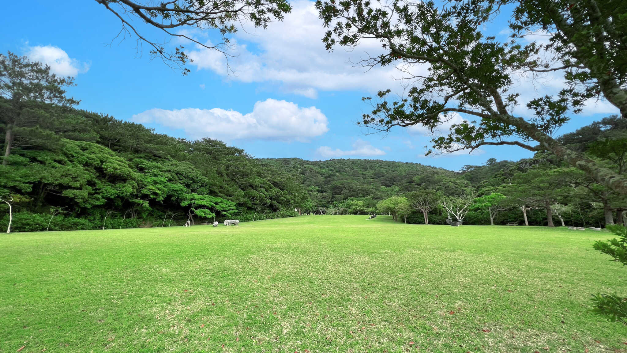 沖縄県 県民の森