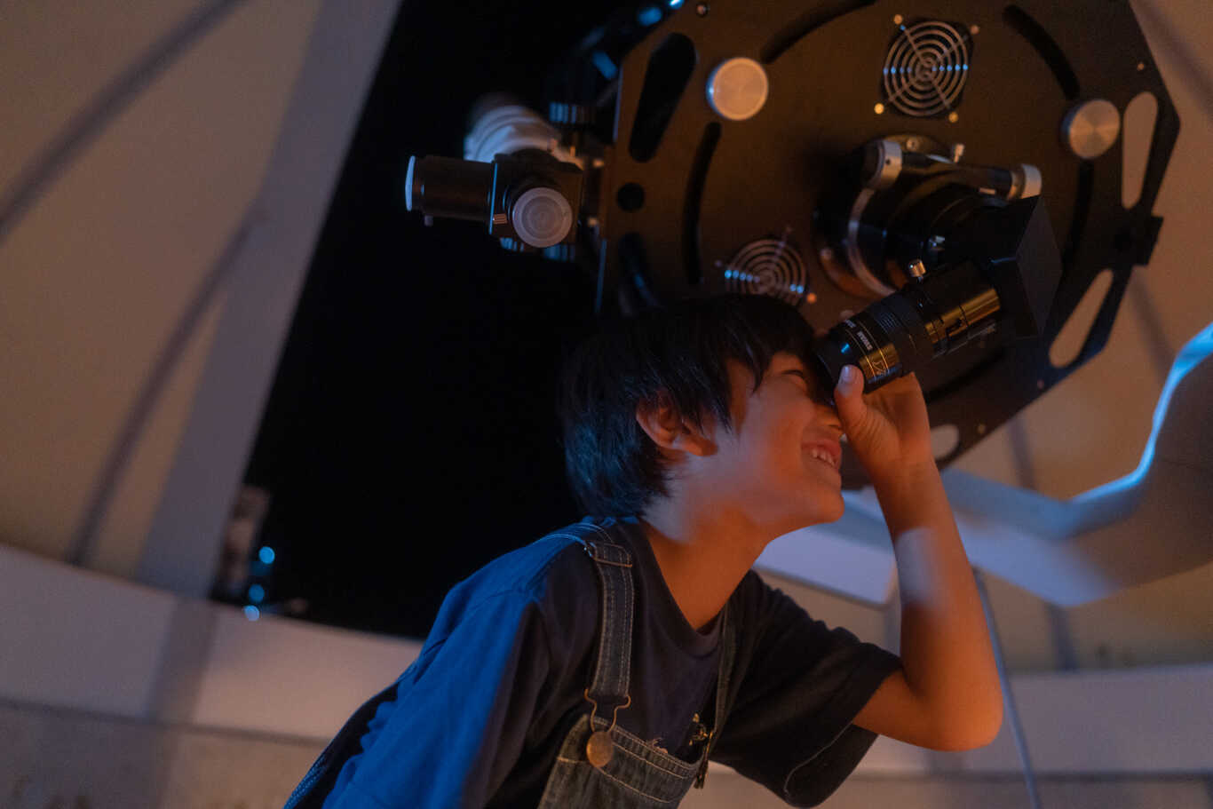 国頭村森林公園～星と森のキャンプ場～ photo 5