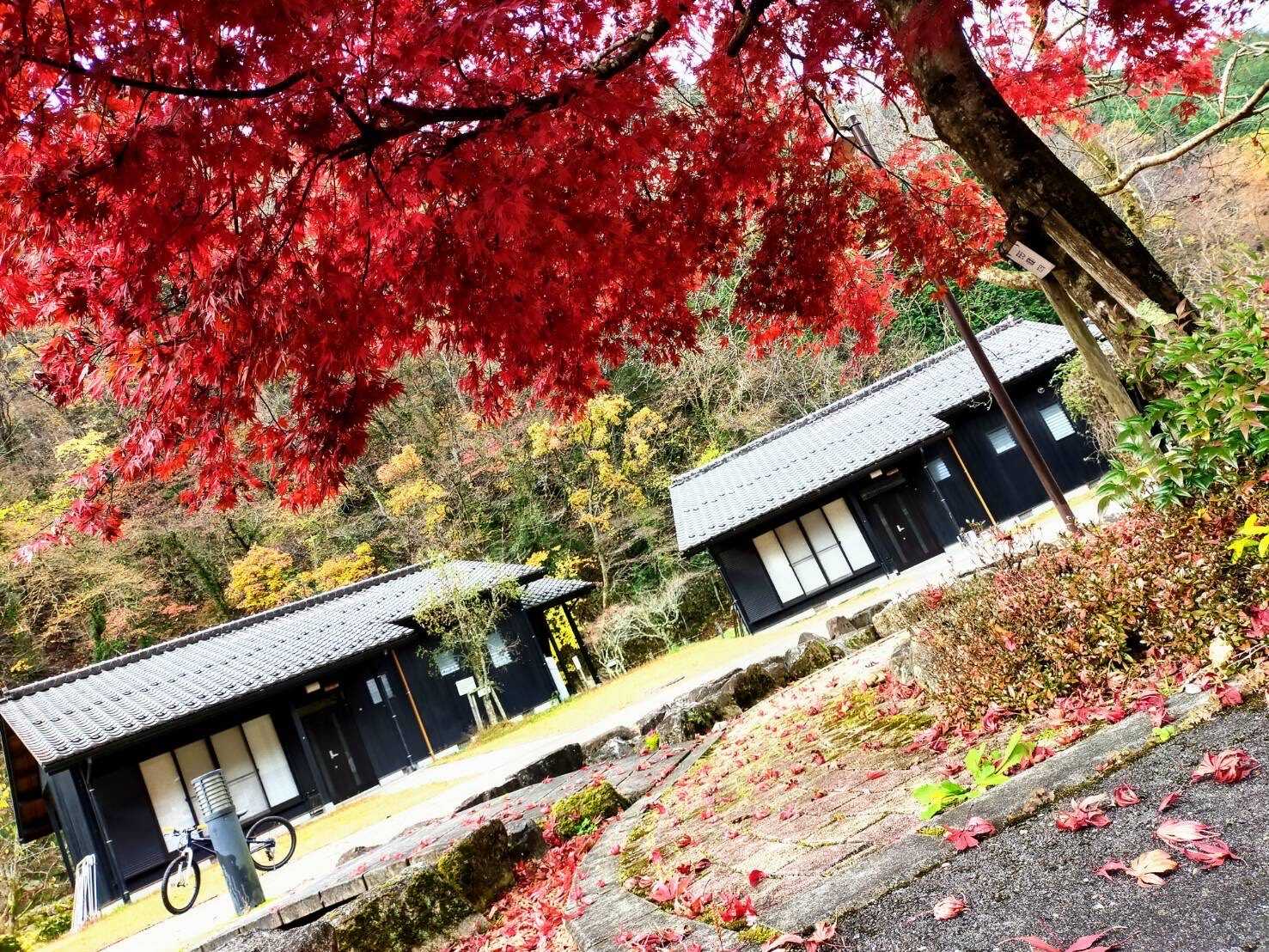 まるかりの里久野川