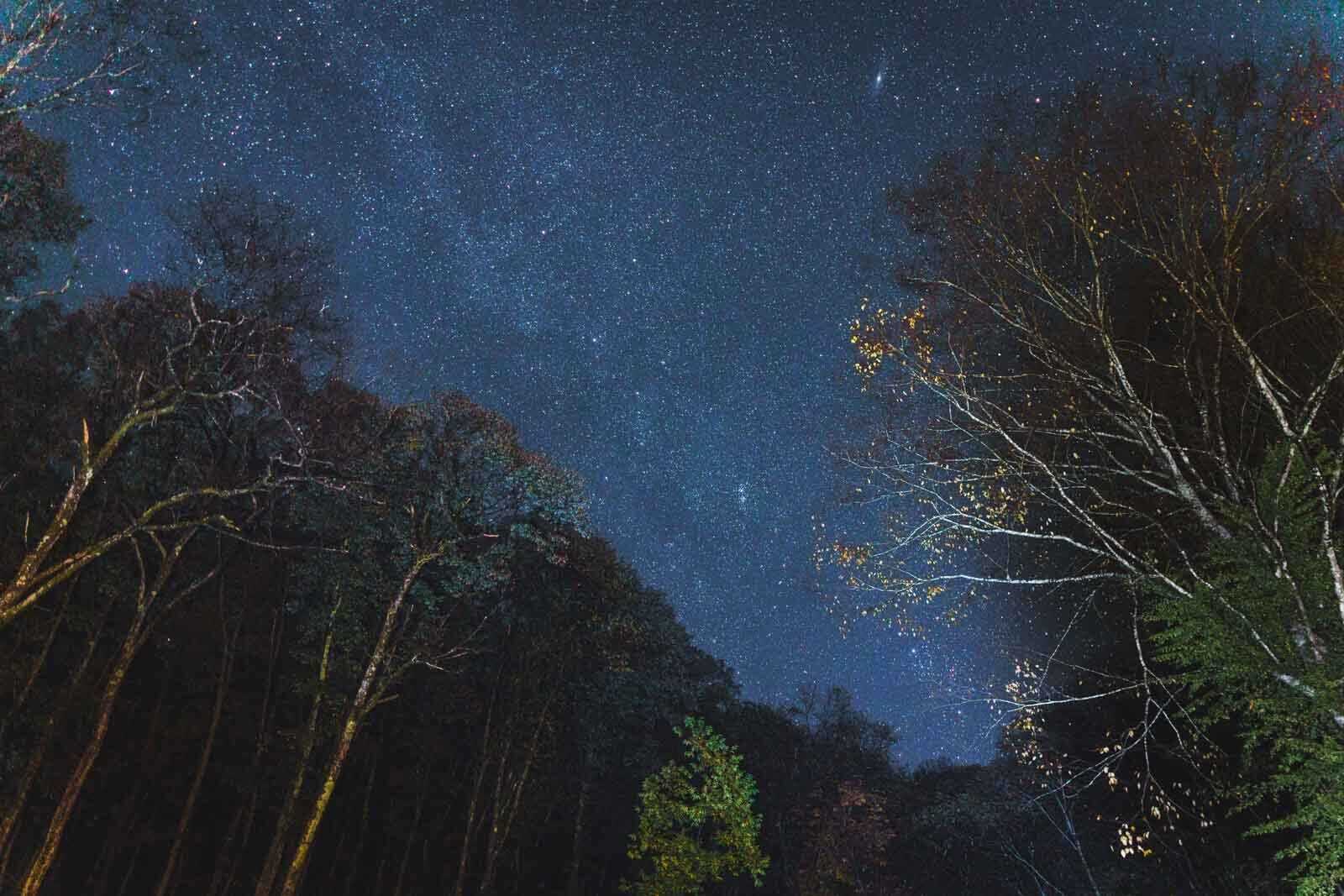 のほほんパークひだおさか(旧:飛騨小坂ふれあいの森キャンプ場)の写真 3枚目