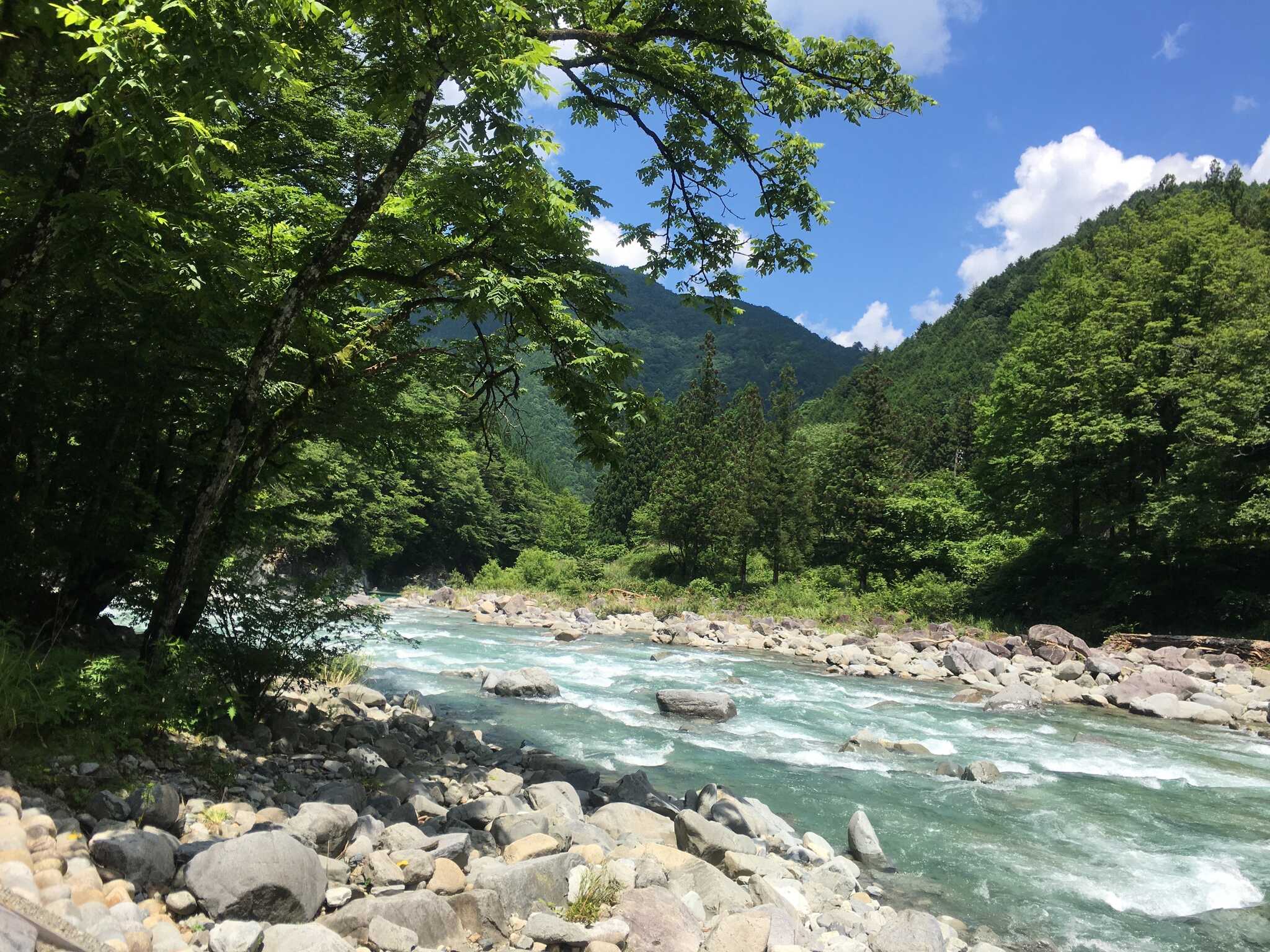 老谷の森 川のほとりのキャンプ場の写真 3枚目