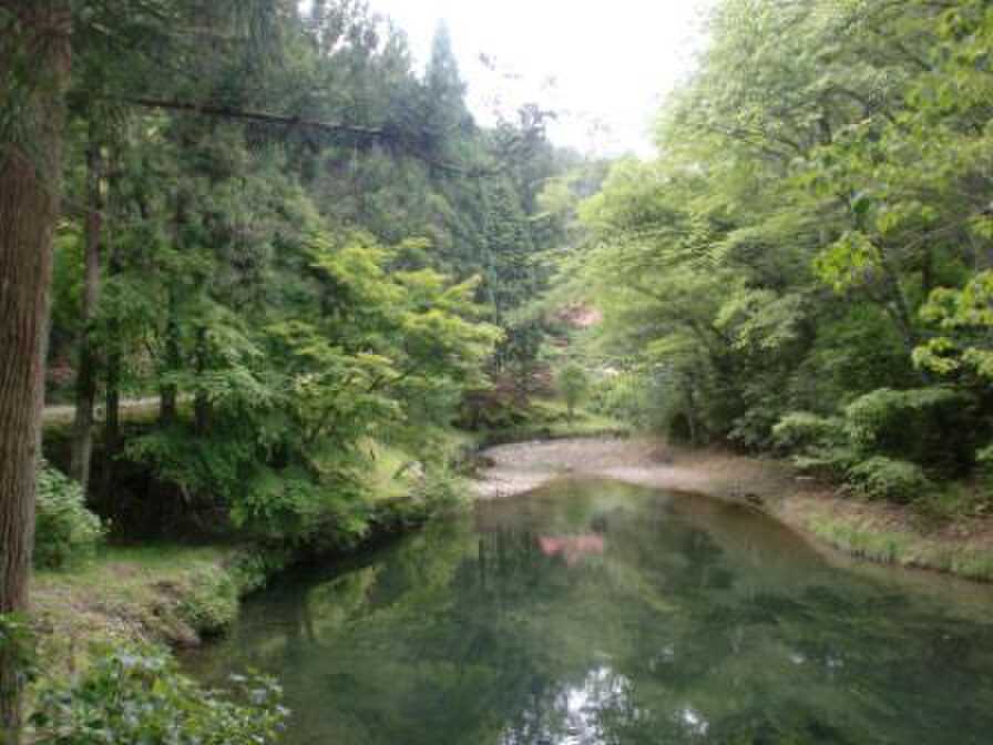 谷川の風景です♪