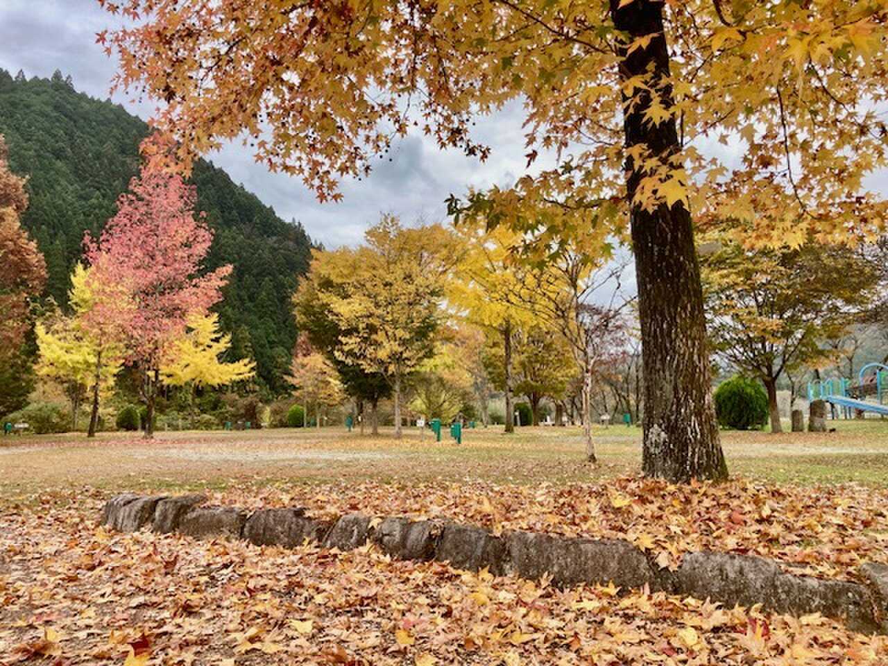 和良川公園オートキャンプ場の写真 3枚目