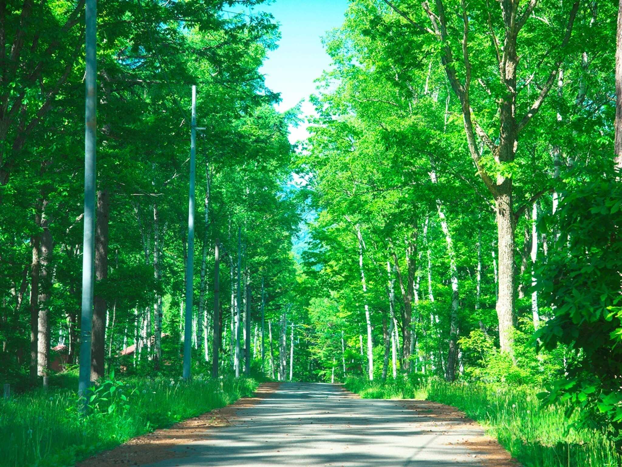 日和田高原ロッジ・キャンプ場の写真 2枚目