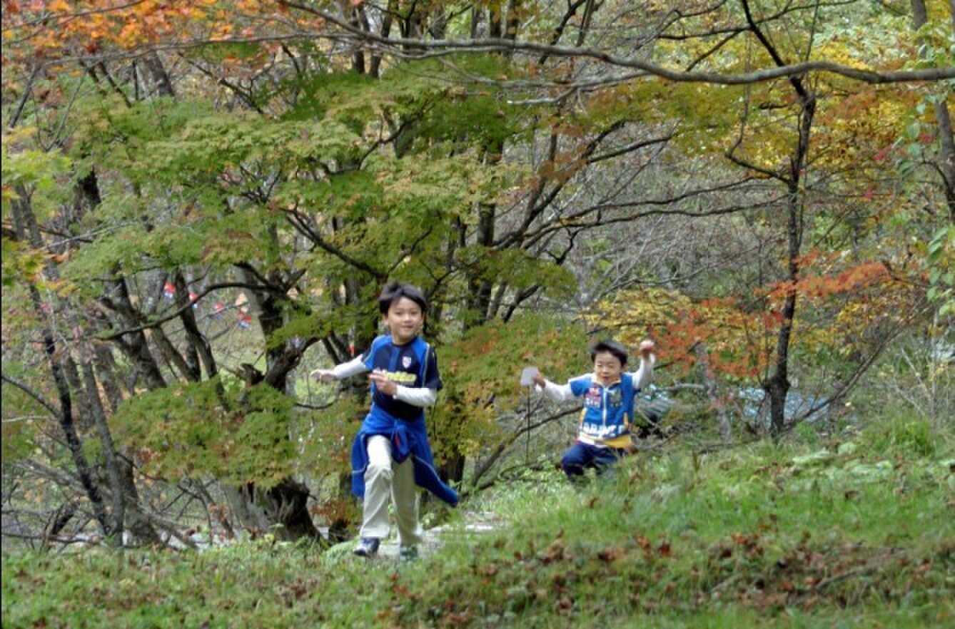 大自然を駆け巡ってみては♪