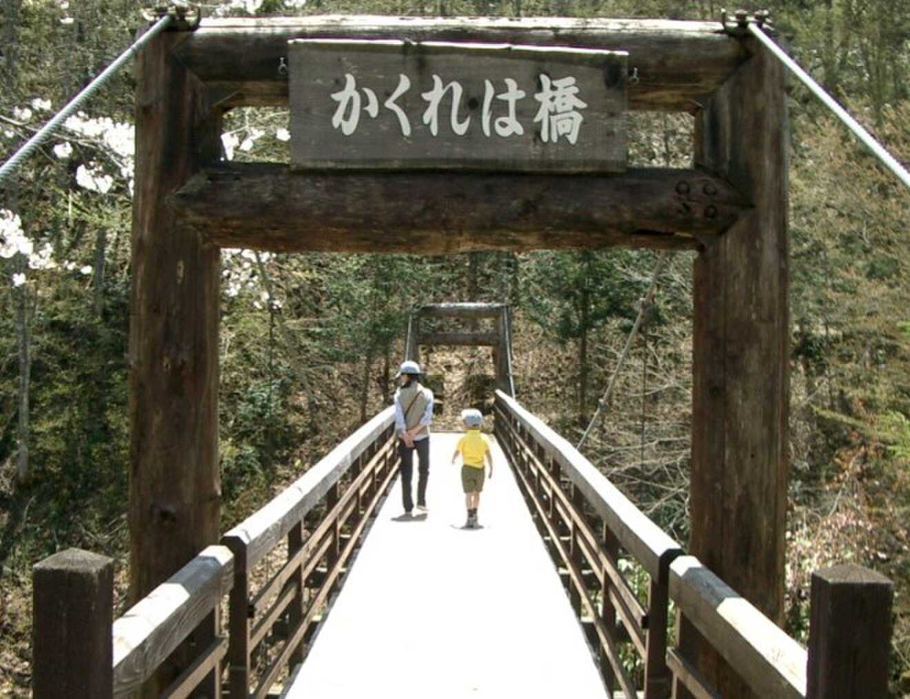散策する場所も豊富です!