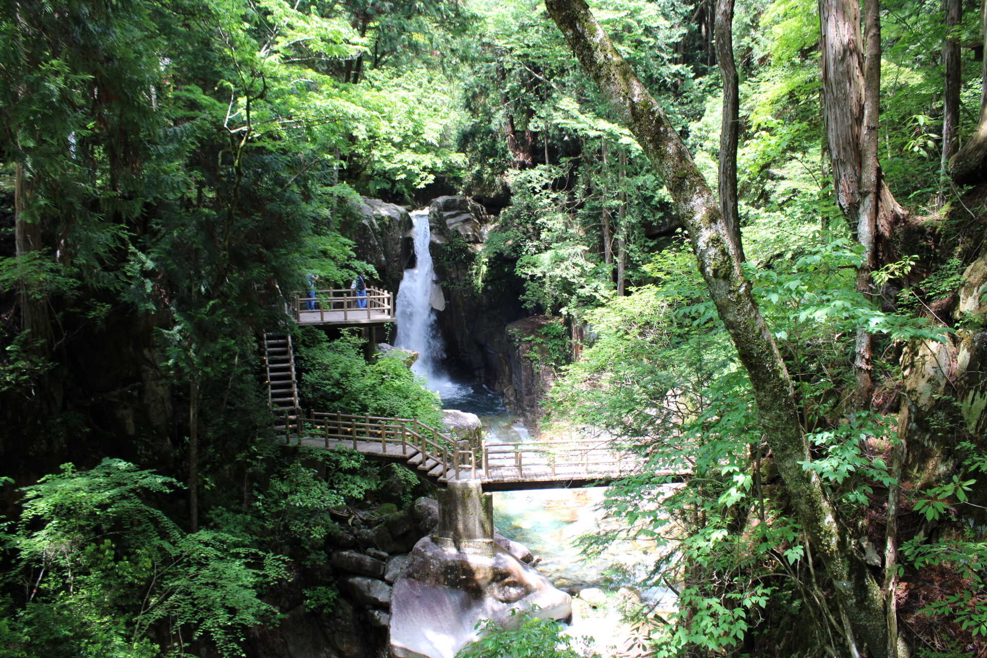 岐阜県名水50選に選ばれた「竜神の滝」は必見! 迫力ある落差12mの滝は、透明度が高く、コバルトブルーやエメラルドブルーなど日に7回も色を変えるといわれます。