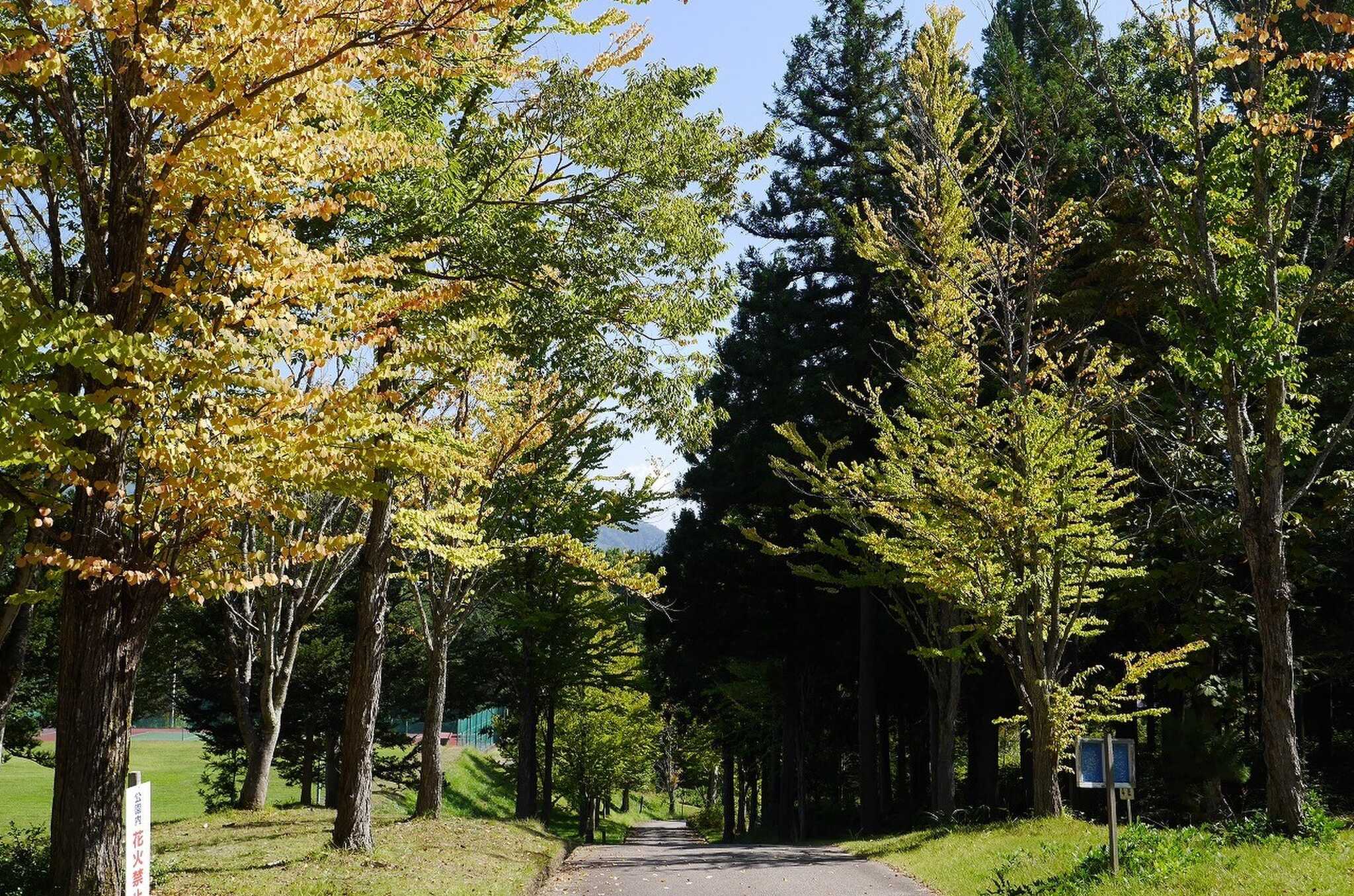 飛騨市森林公園キャンプ場の写真 1枚目
