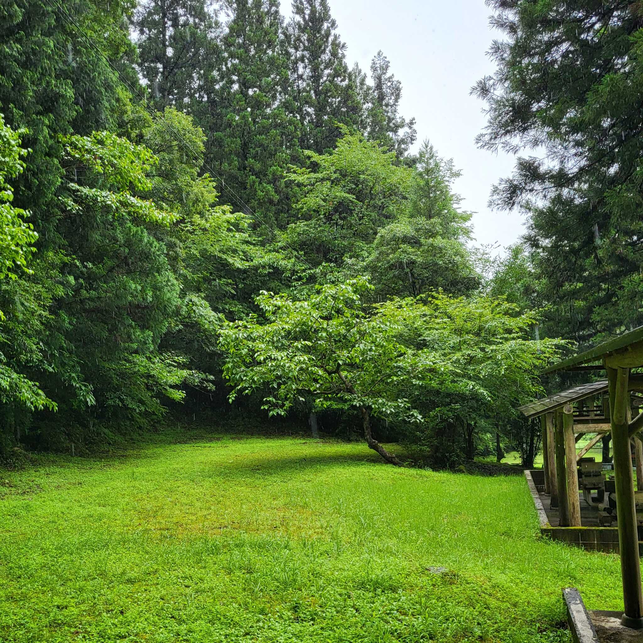 御殿山キャンプ場