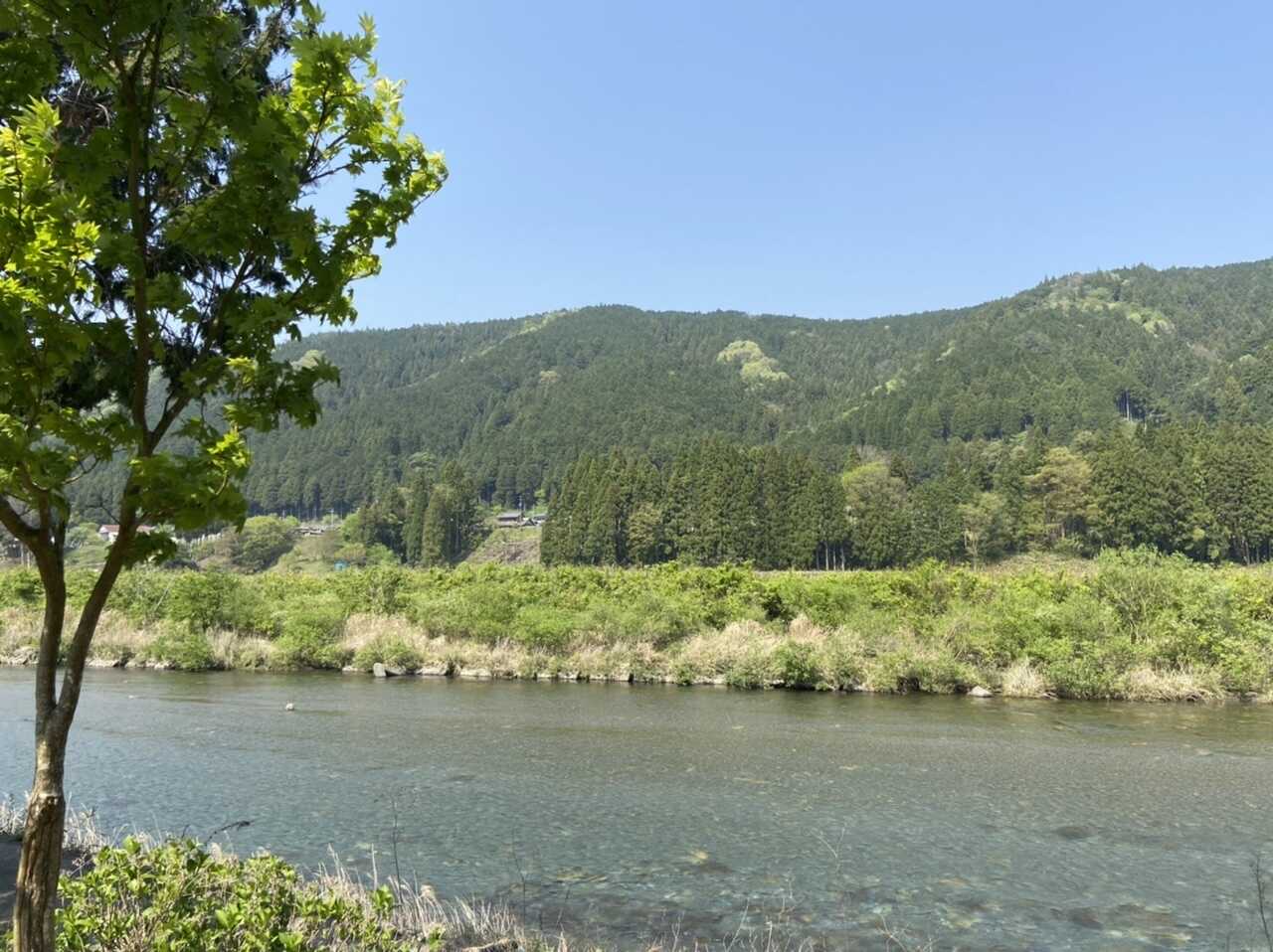 目の前を綺麗な川が流れています。眺めていると心が癒されます♪