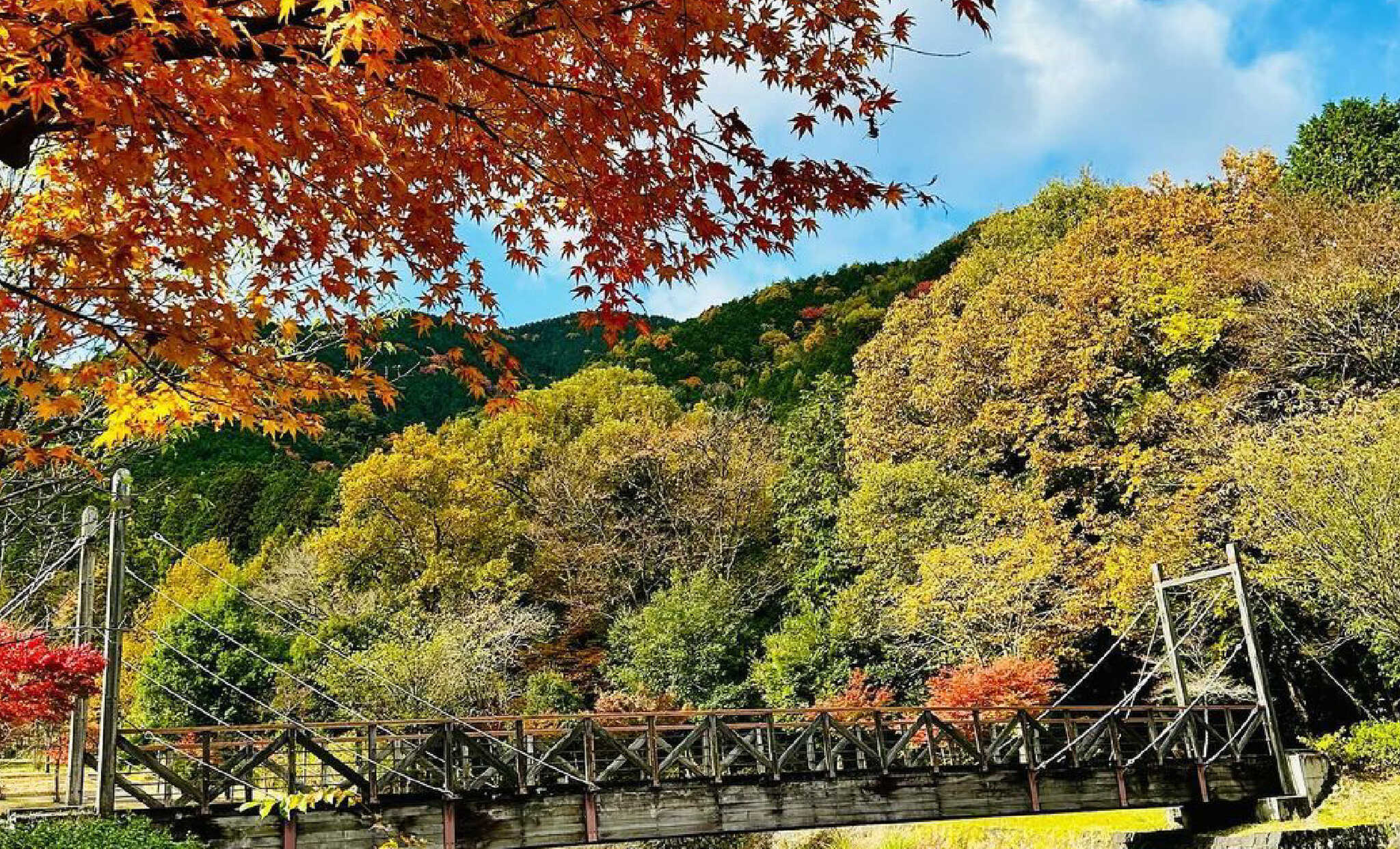 秋は紅葉キャンプが楽しめます!