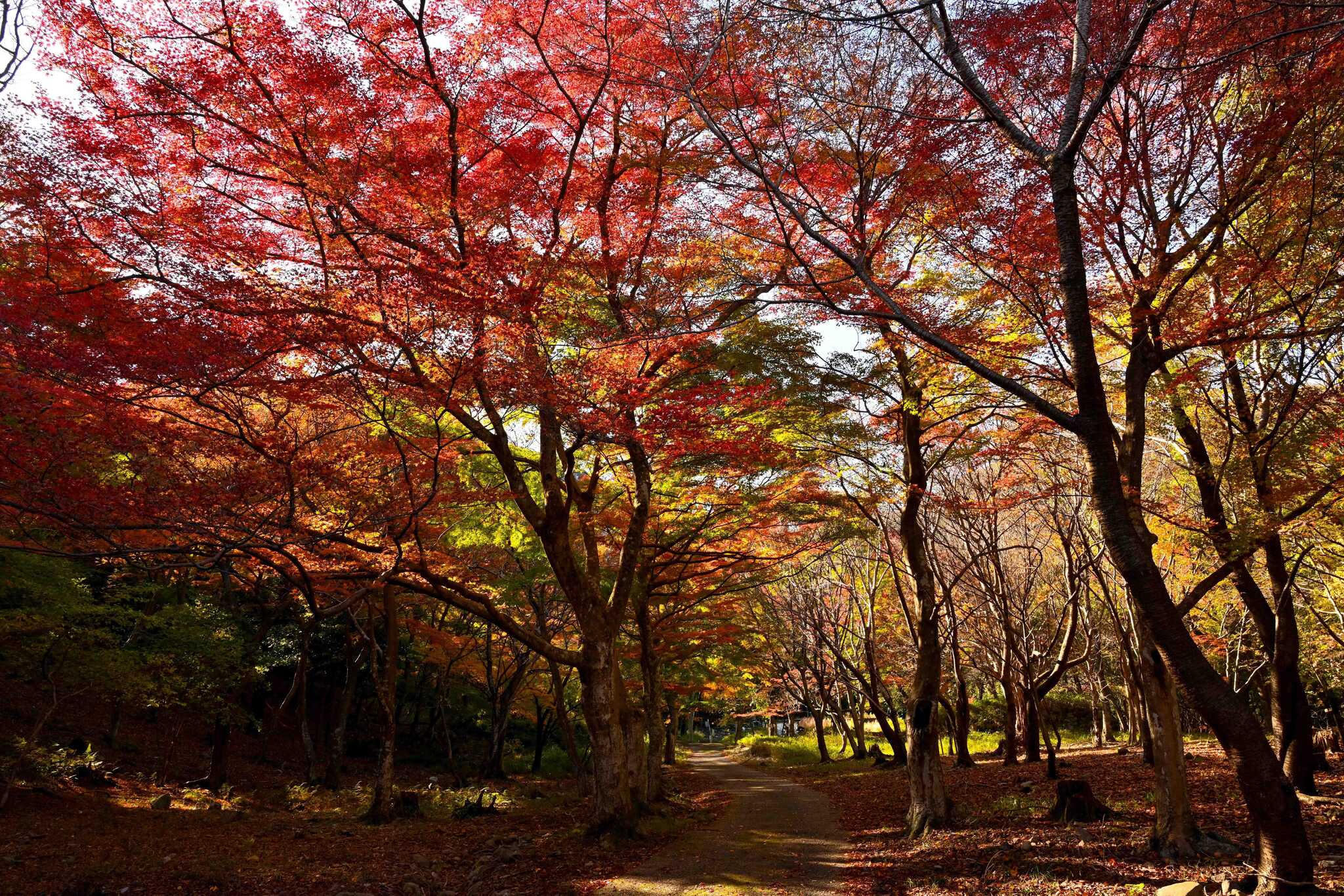 LScamp養老(旧:RECAMP養老)