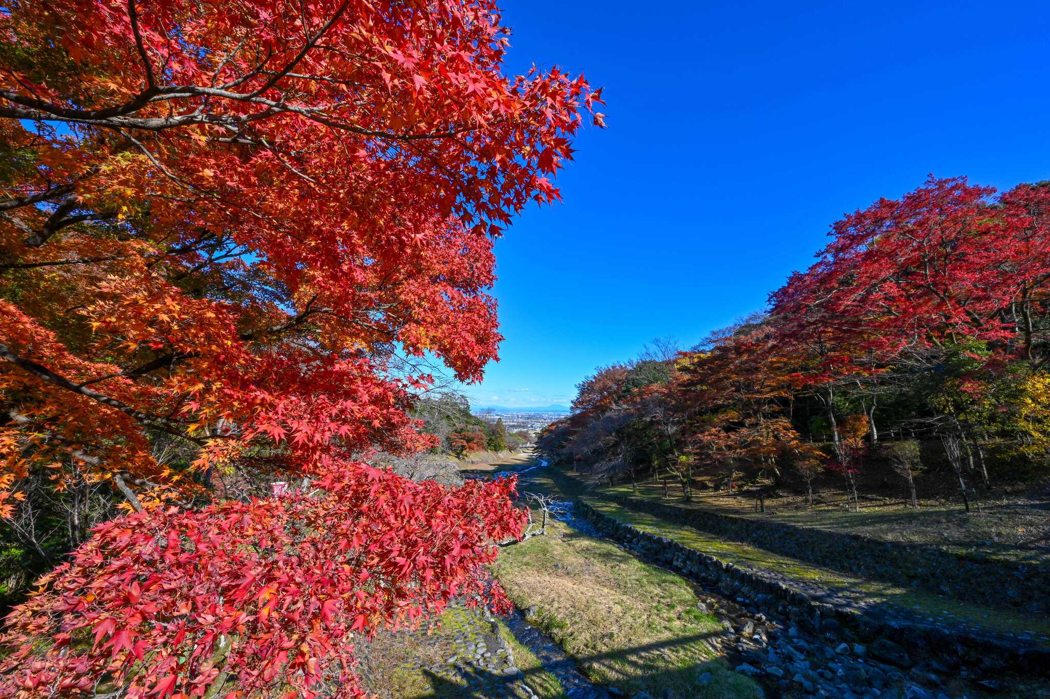 LScamp養老(旧:RECAMP養老)