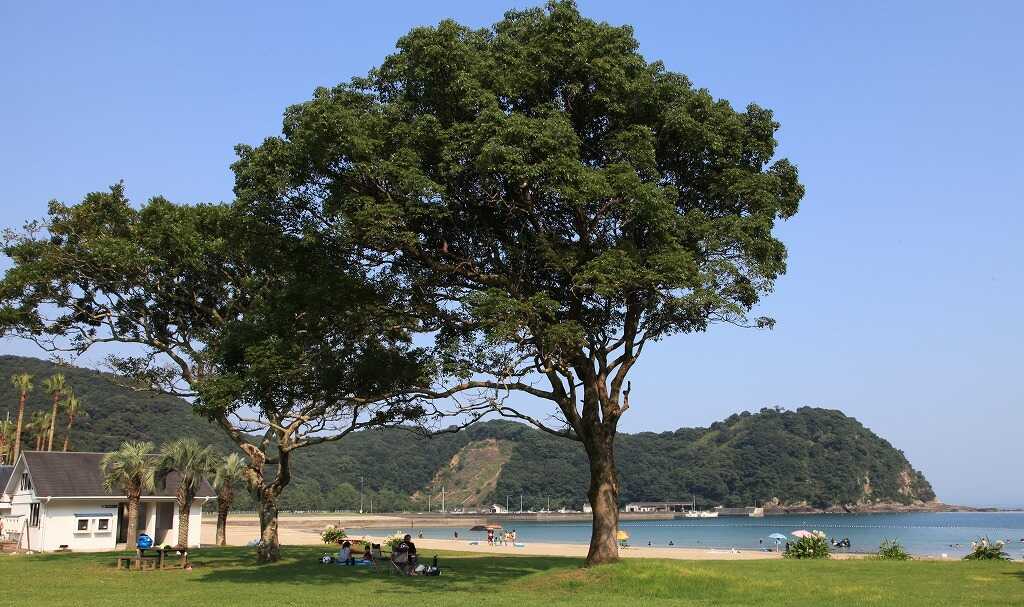 須美江家族旅行村の写真 3枚目