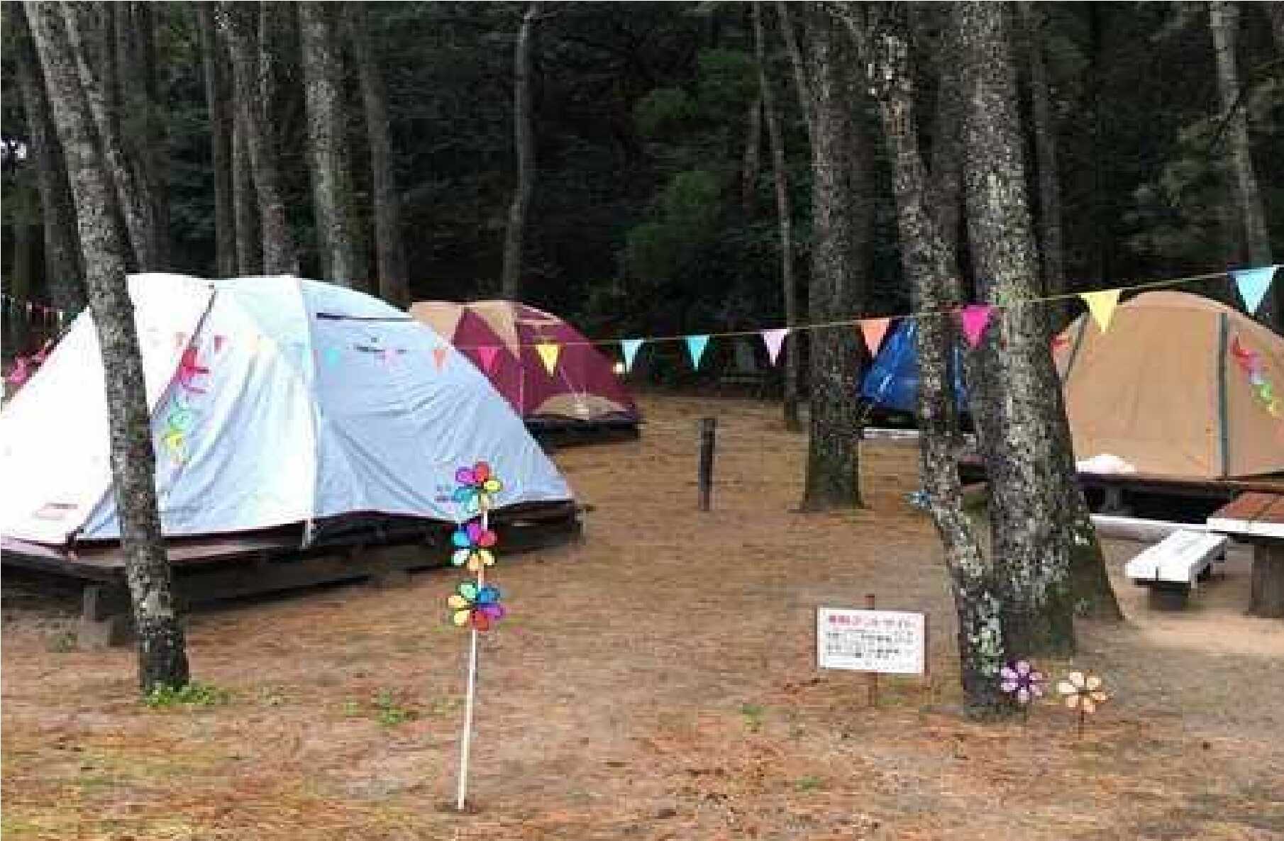 下阿蘇ビーチリゾート『浜木綿(はまゆう)村』(海辺のキャンプ場「ソレイユ・ルヴァン」)の写真 3枚目