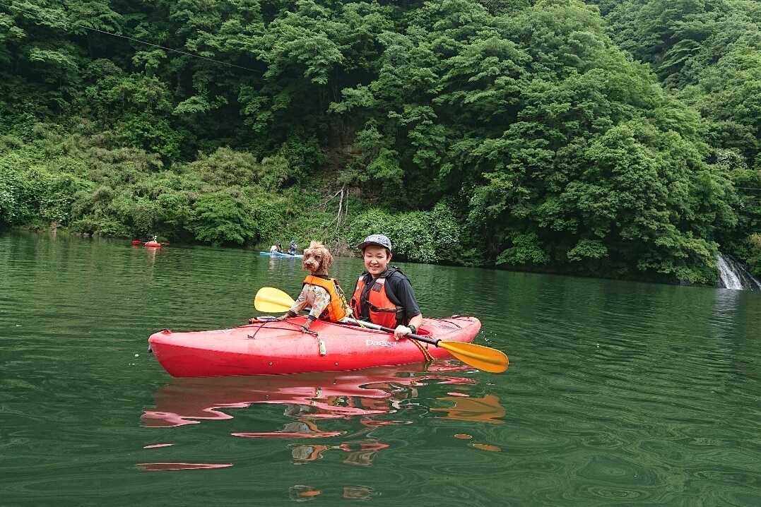 五ヶ瀬の里キャンプ村の写真 5枚目