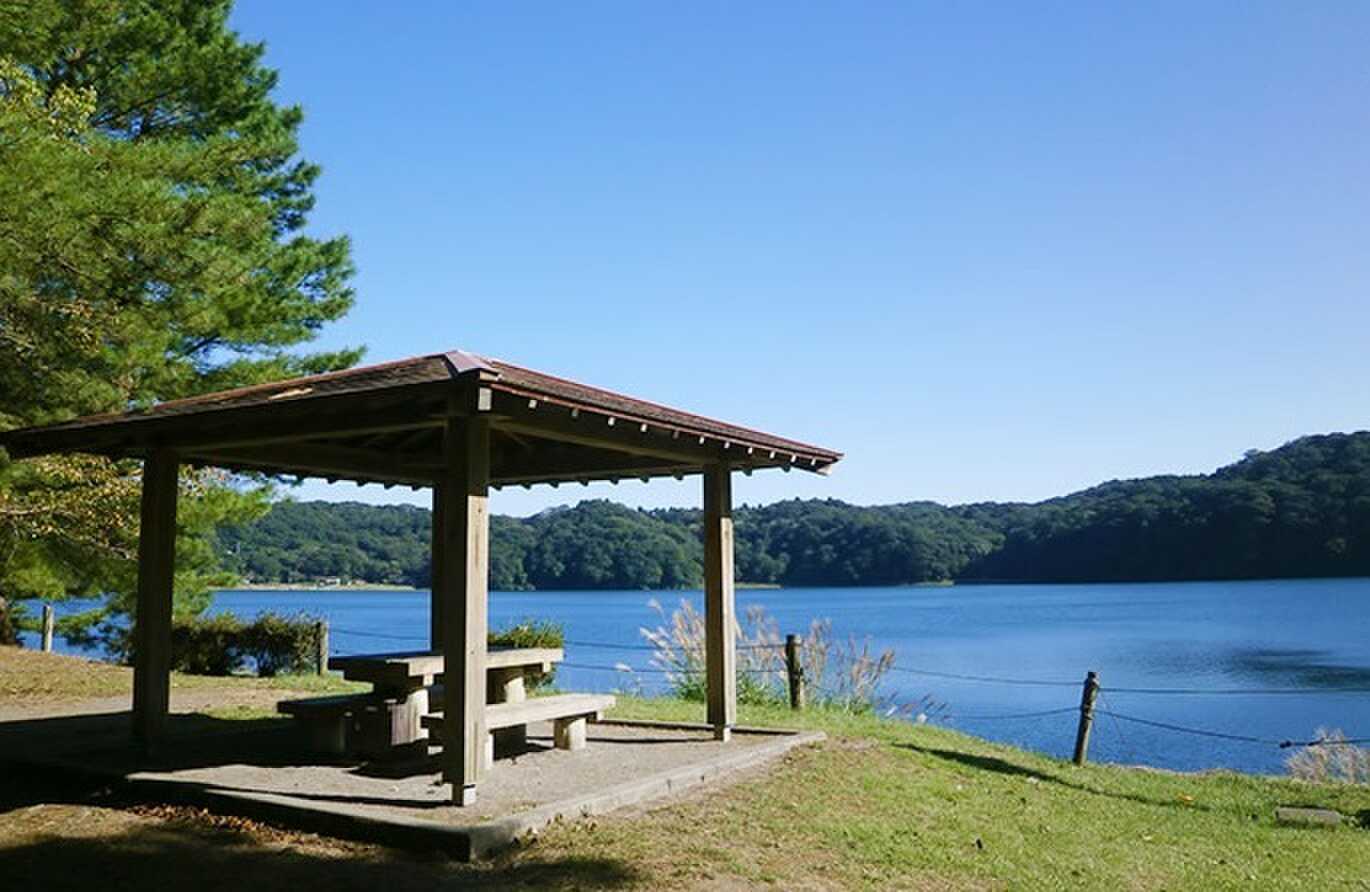 奥霧島 御池キャンプ村の写真 4枚目