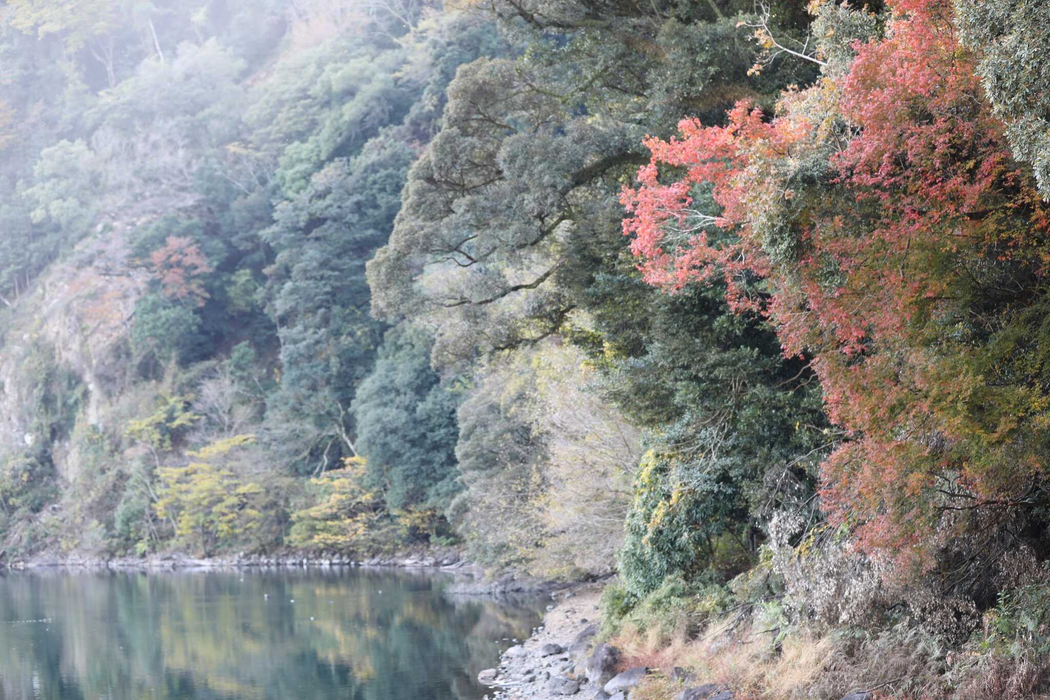奥霧島 御池キャンプ村の写真 5枚目