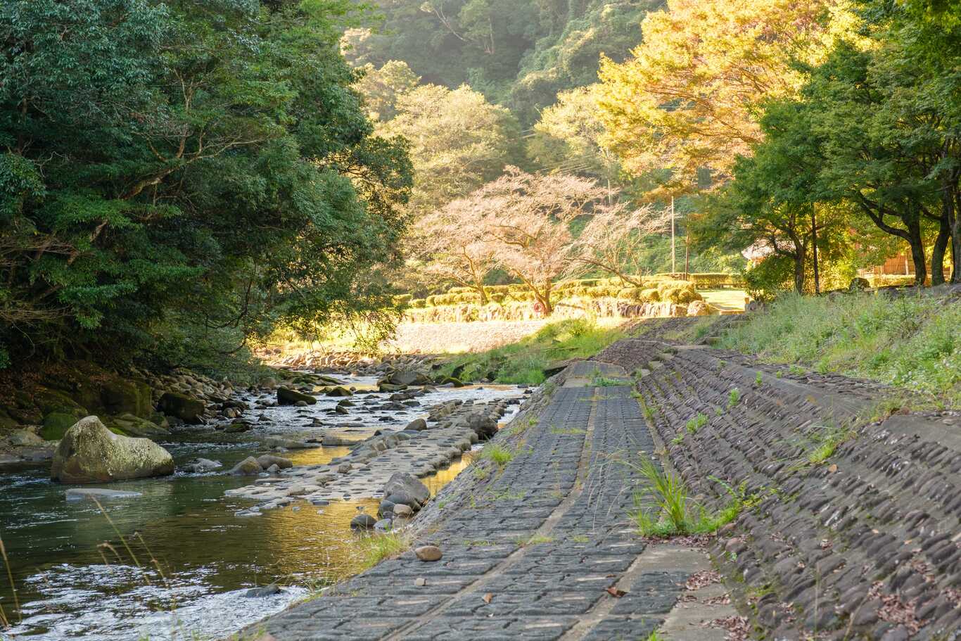 青井岳キャンプ場 photo 3