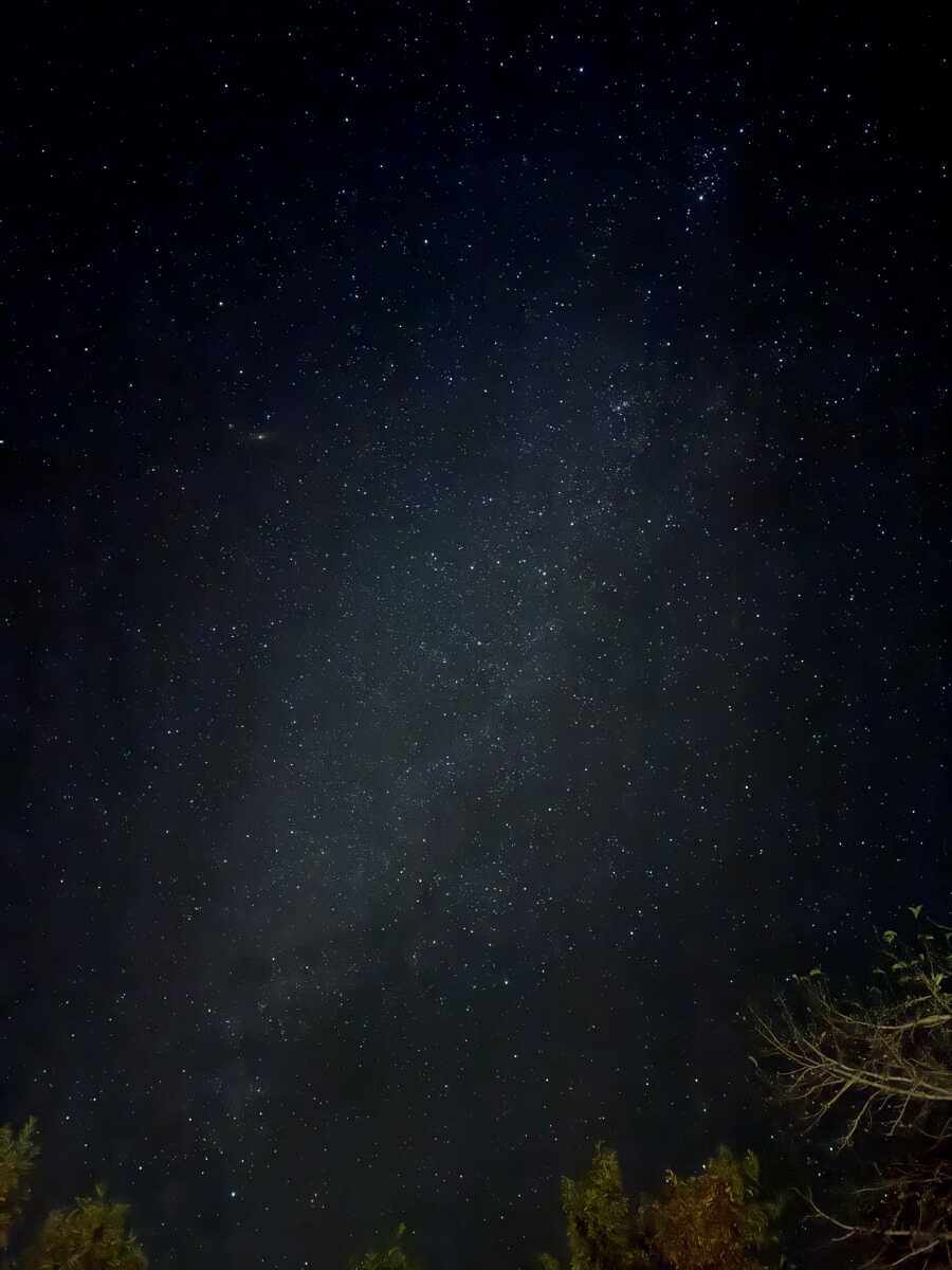 池の窪グリーンパークの写真 3枚目