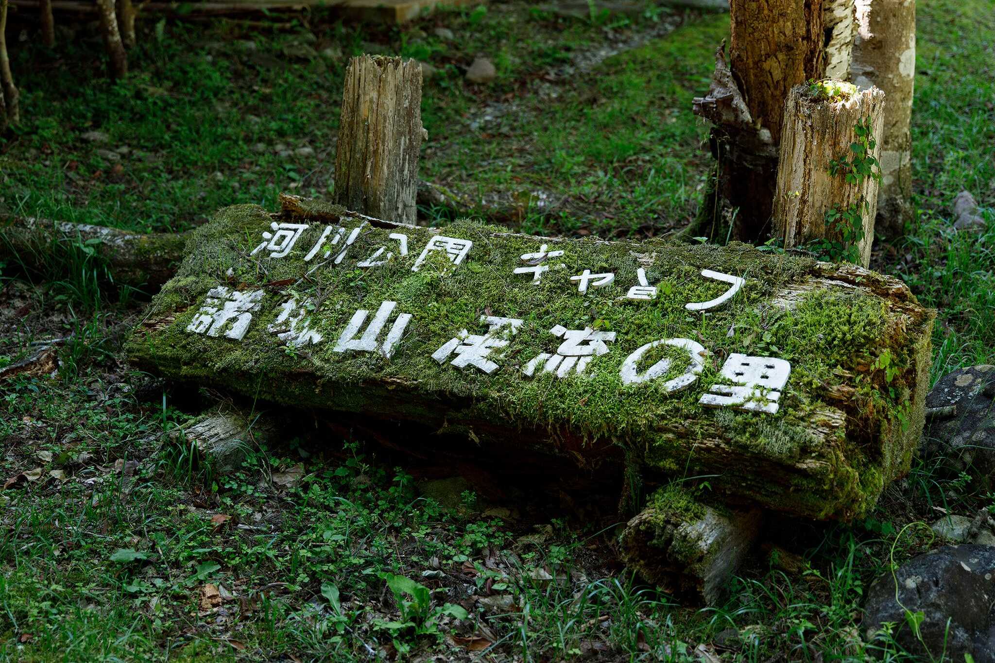 管理者