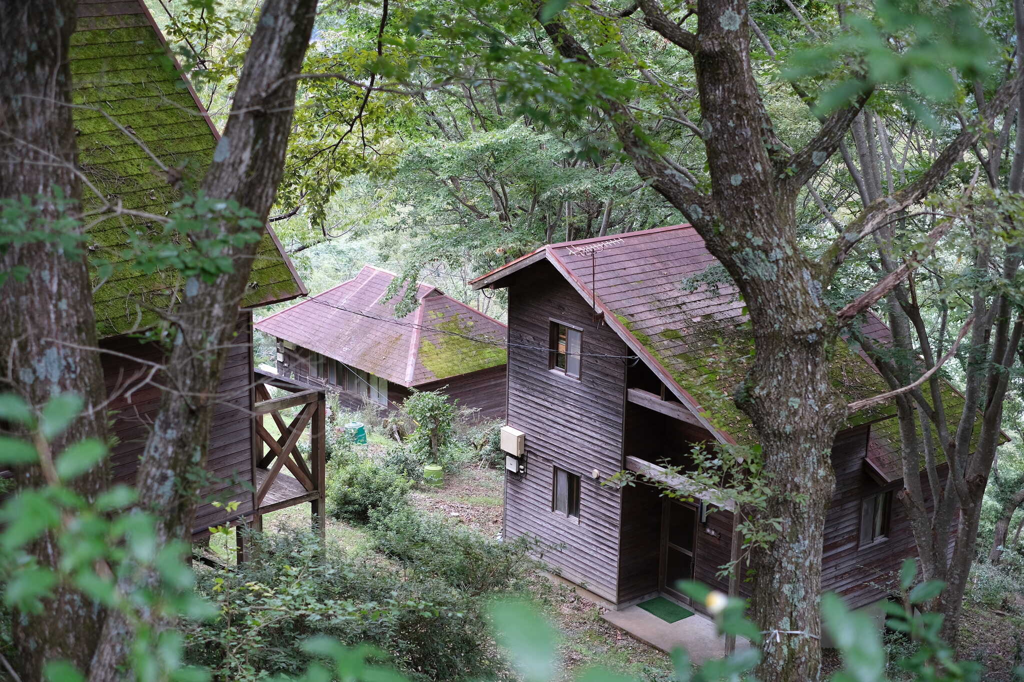 コテージは山の斜面に建っていて、木々に囲まれています。トトロの世界みたい、という人も。